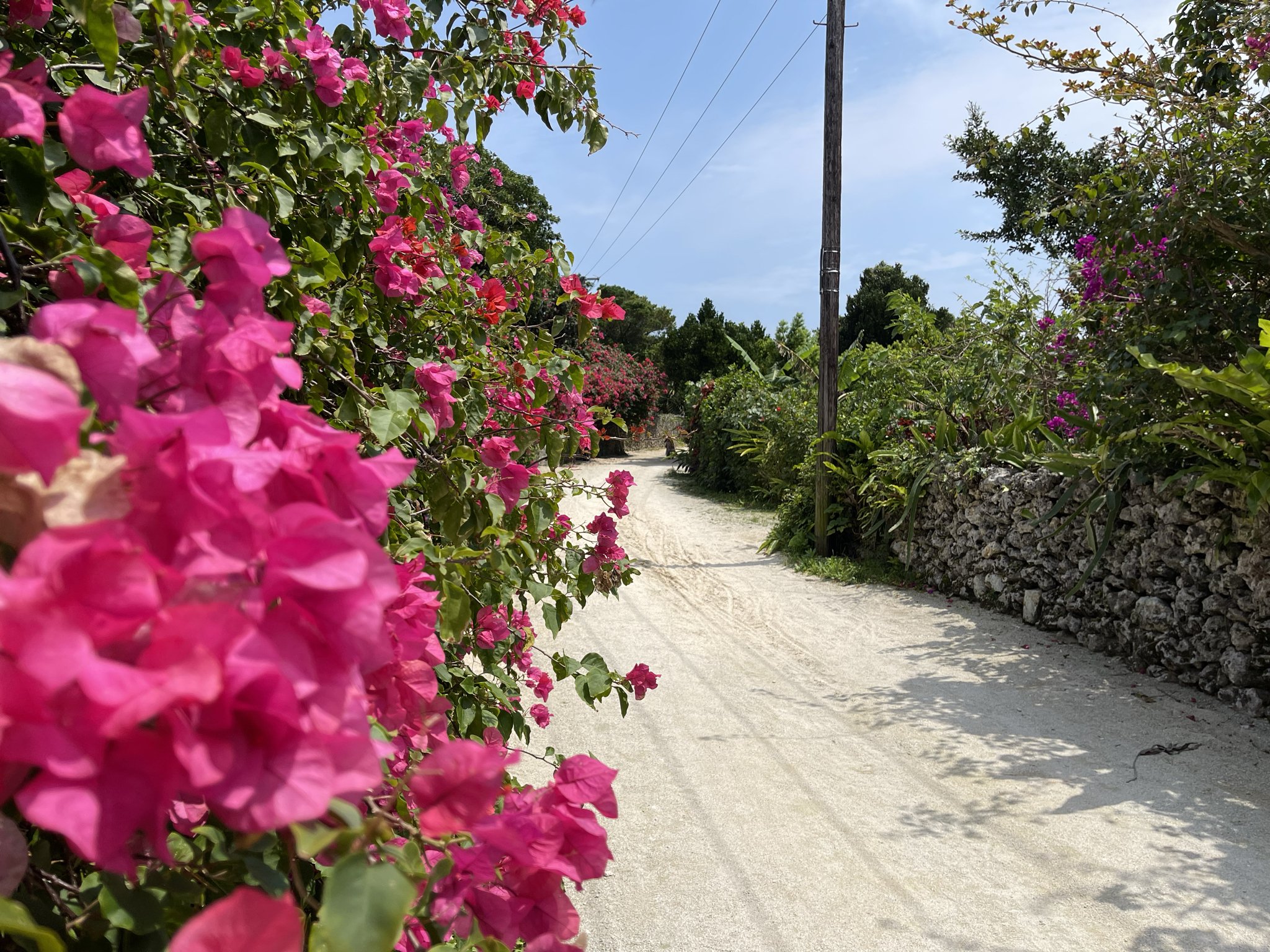 バトン連載】竹富島で見つけた私の物語｜縁をつなぐエッセイ vol.23