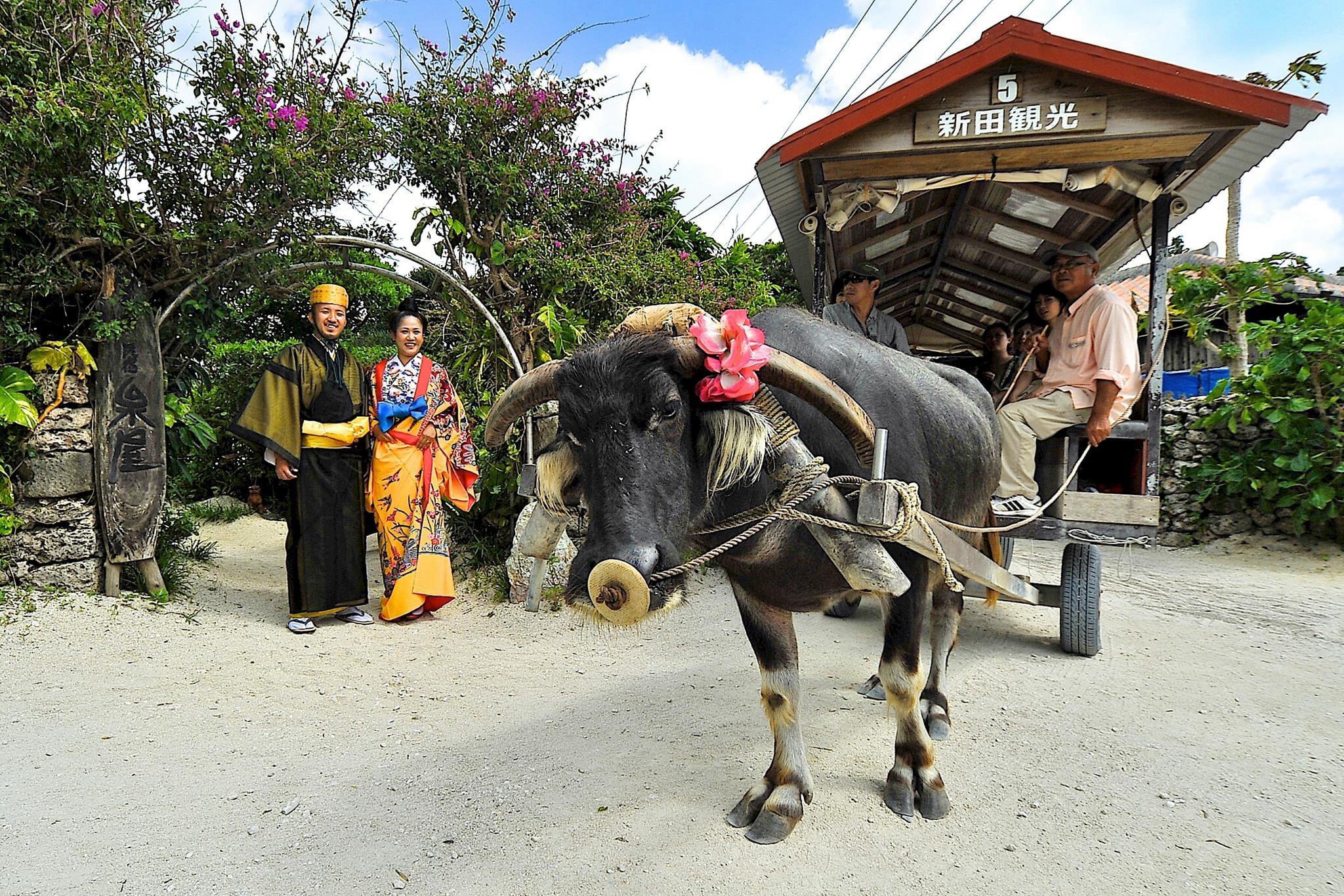 バトン連載】竹富島で見つけた私の物語｜縁をつなぐエッセイ vol.23