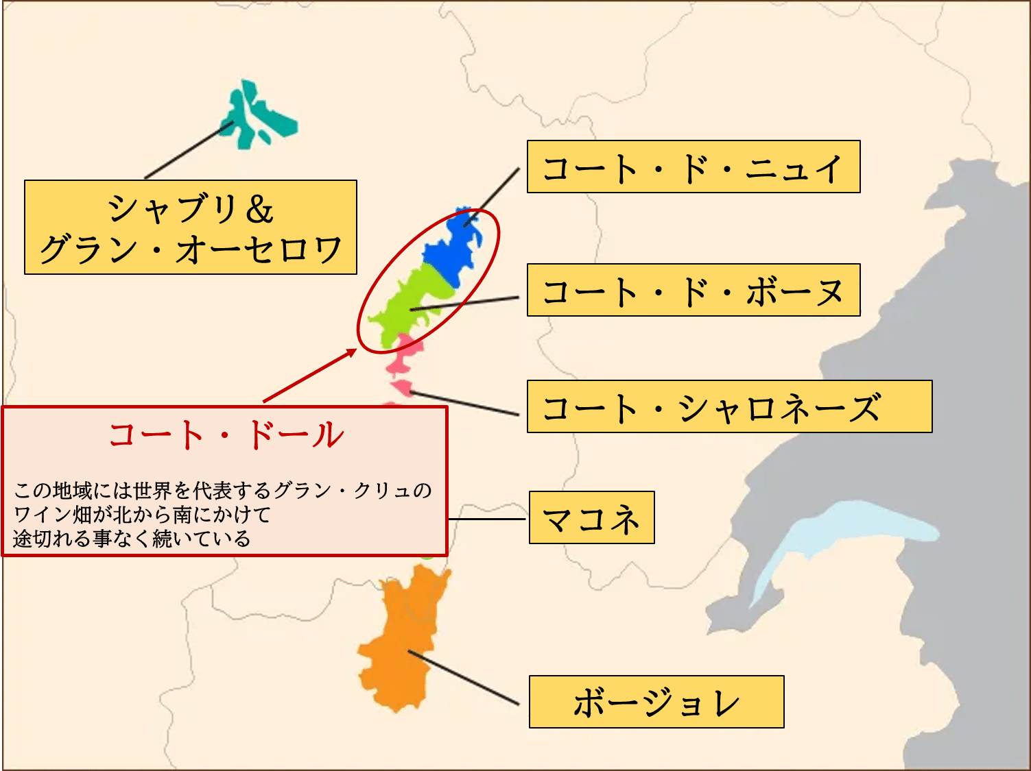 7】ブルゴーニュ完全ガイド｜ブドウ品種から歴史・AOC格付けまで徹底