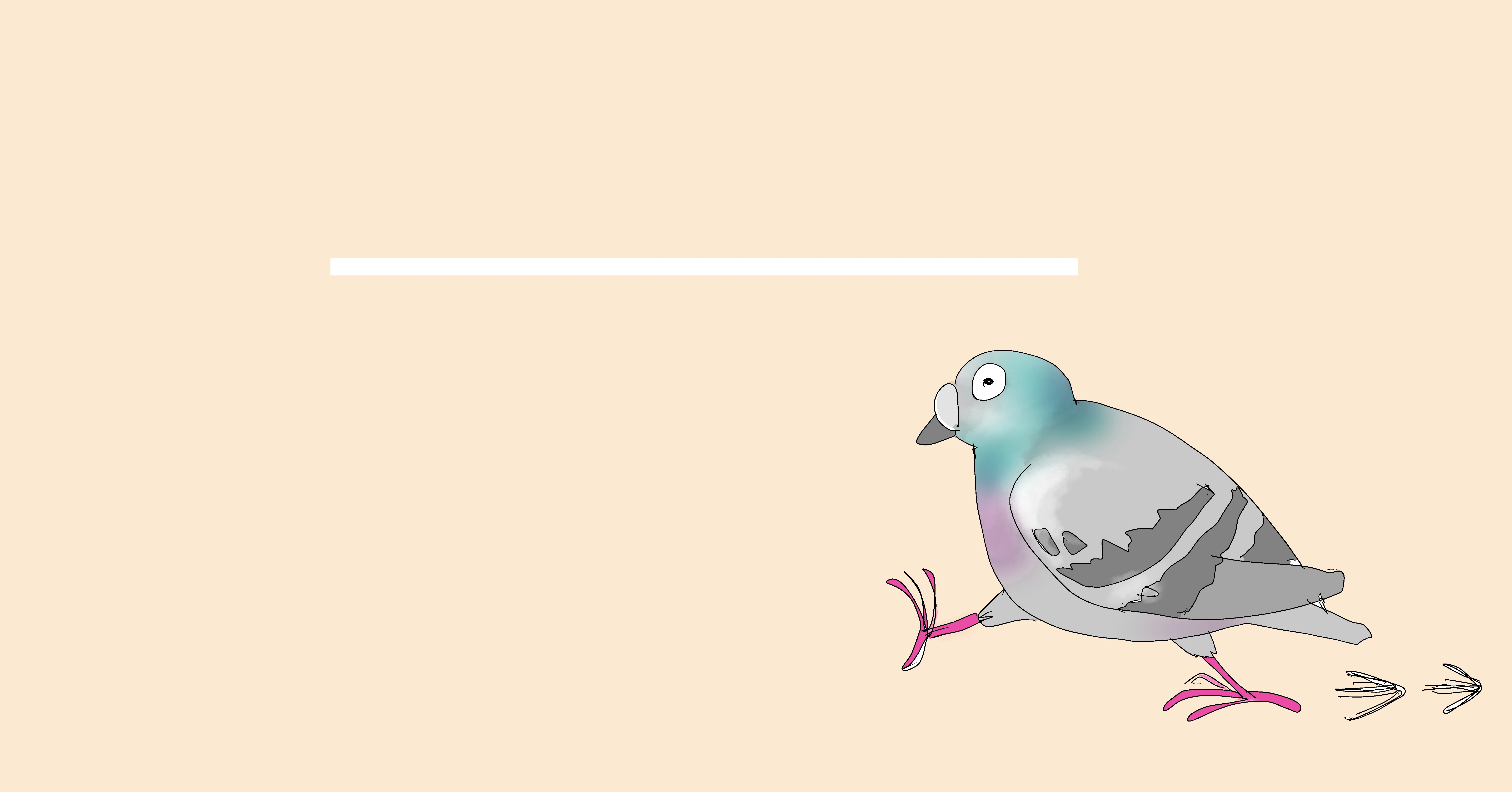 鳩ぽっぽとドライバーのおじさん（9日目）｜アラカンいんこ