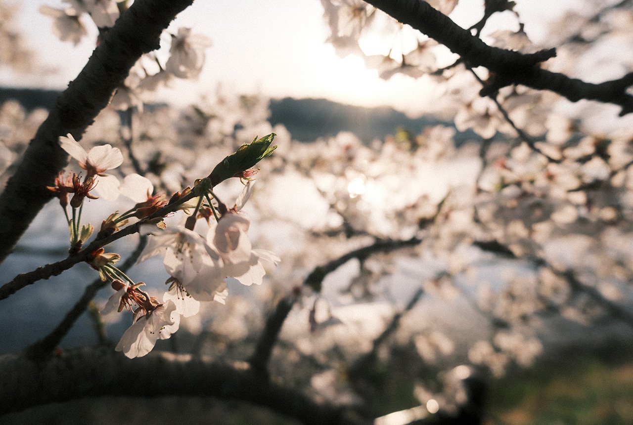 さよならX-T3、こんにちはXF16-50mm F2.8-4.8 R LM WR レビュー