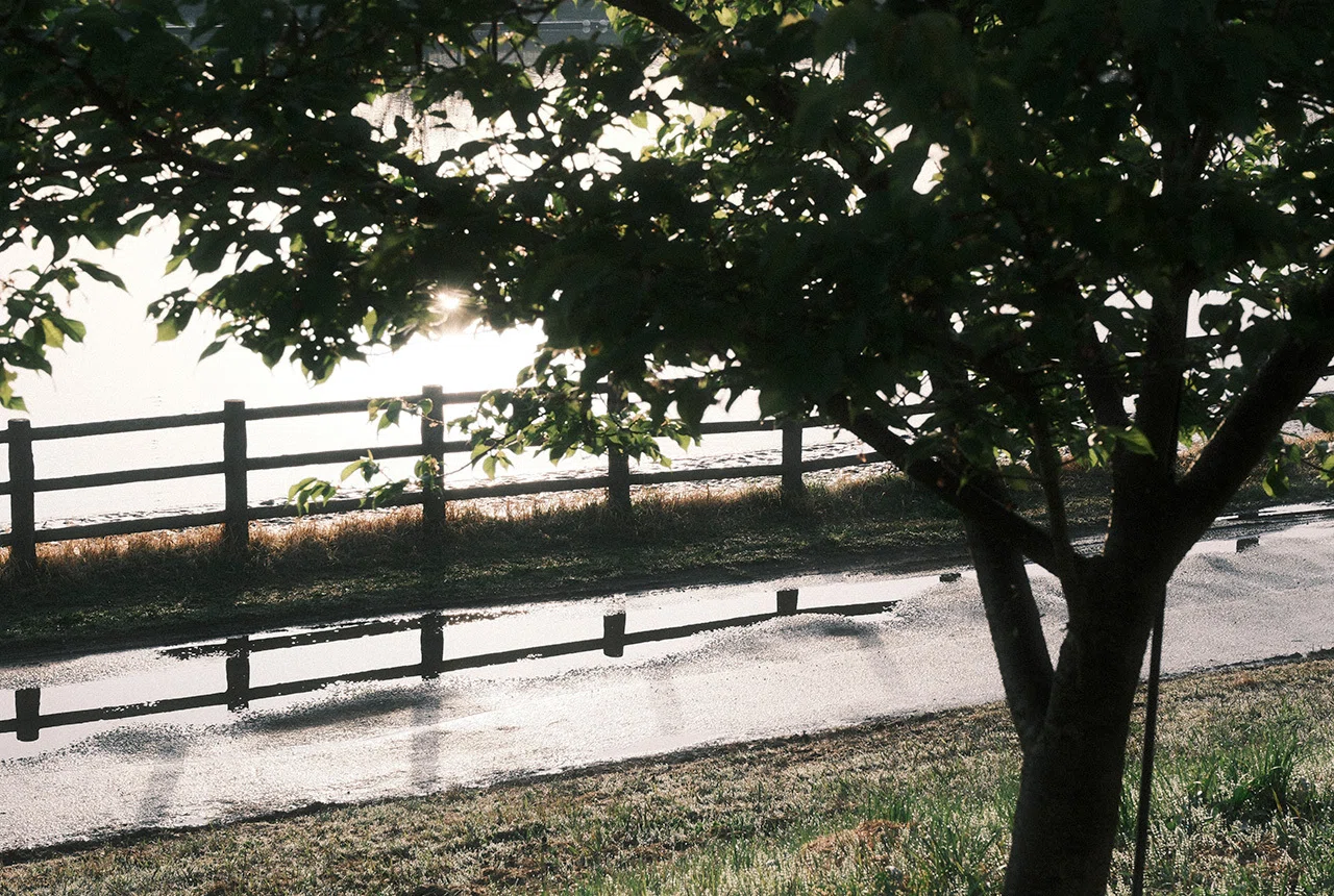 さよならX-T3、こんにちはXF16-50mm F2.8-4.8 R LM WR レビュー