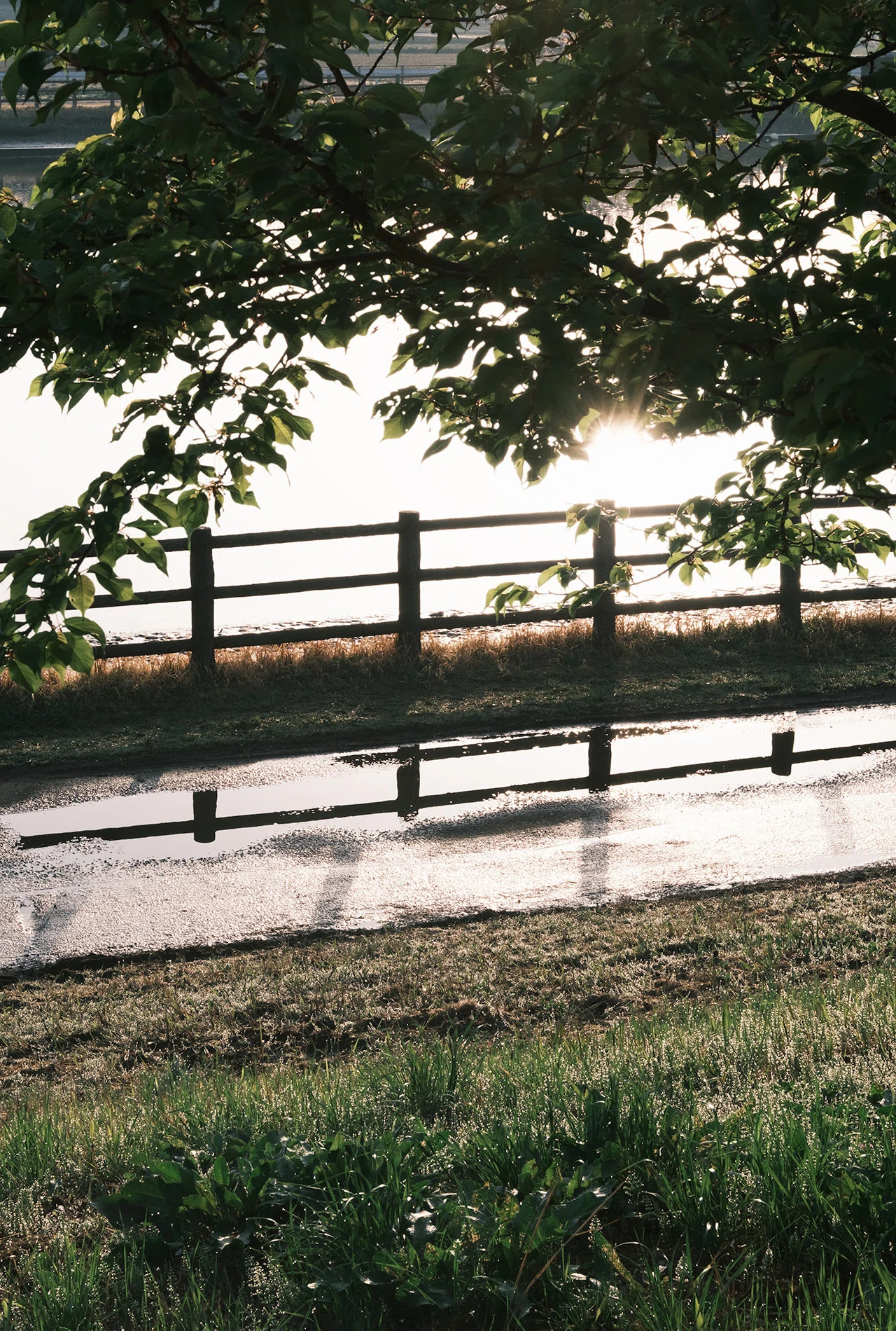 さよならX-T3、こんにちはXF16-50mm F2.8-4.8 R LM WR レビュー