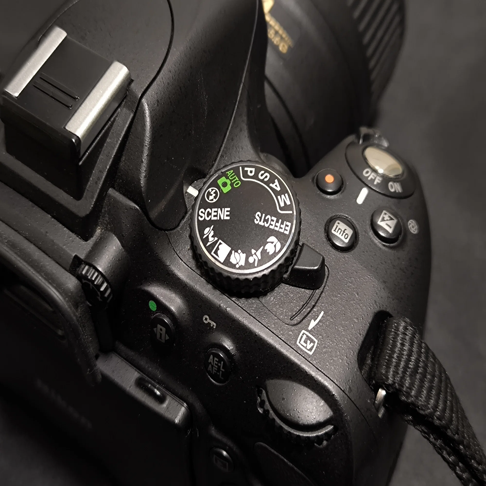 愛カメラ遍歴 Vol.5 ： Nikon D5100 スタンダードな軽量カメラ｜Tarciel