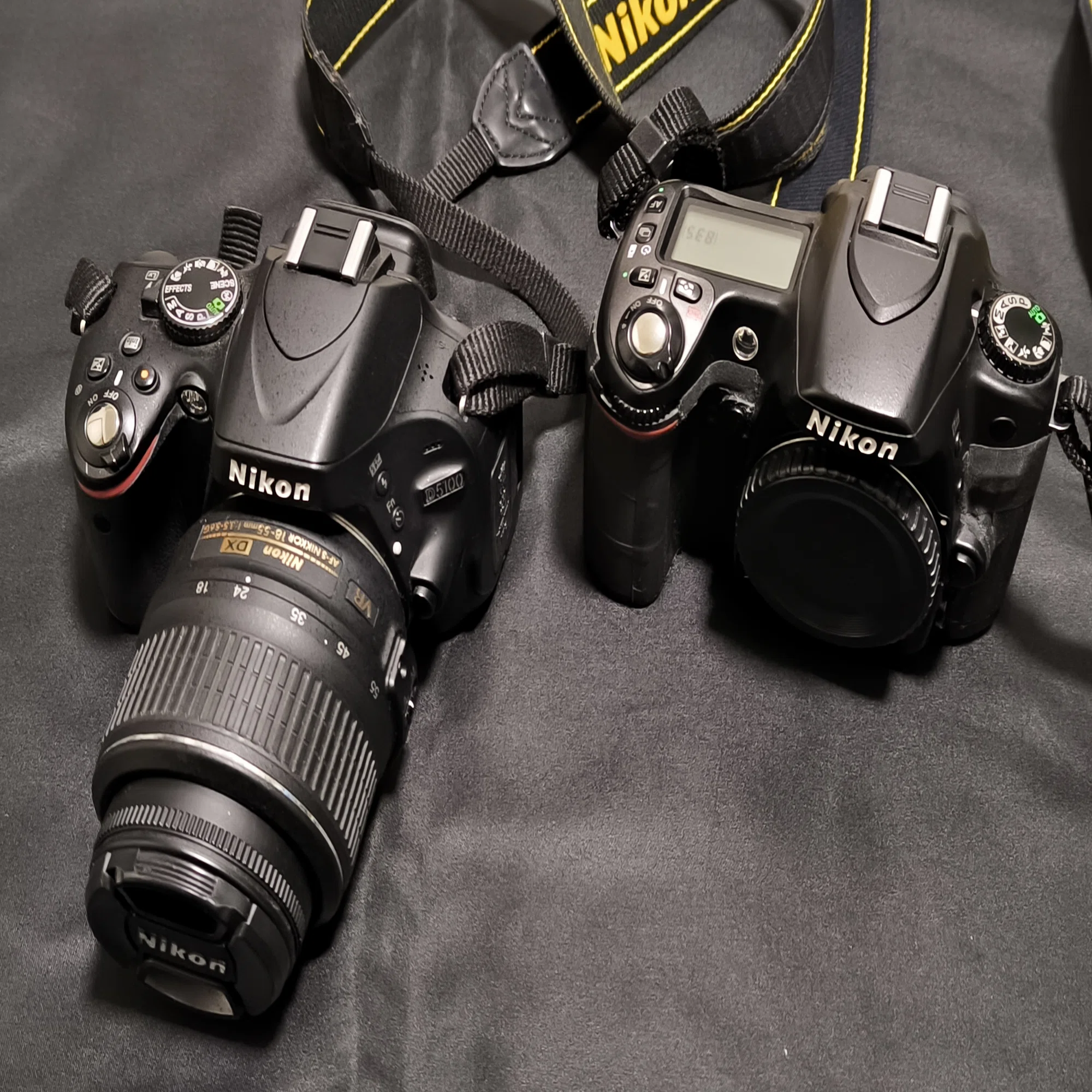 愛カメラ遍歴 Vol.5 ： Nikon D5100 スタンダードな軽量カメラ｜Tarciel