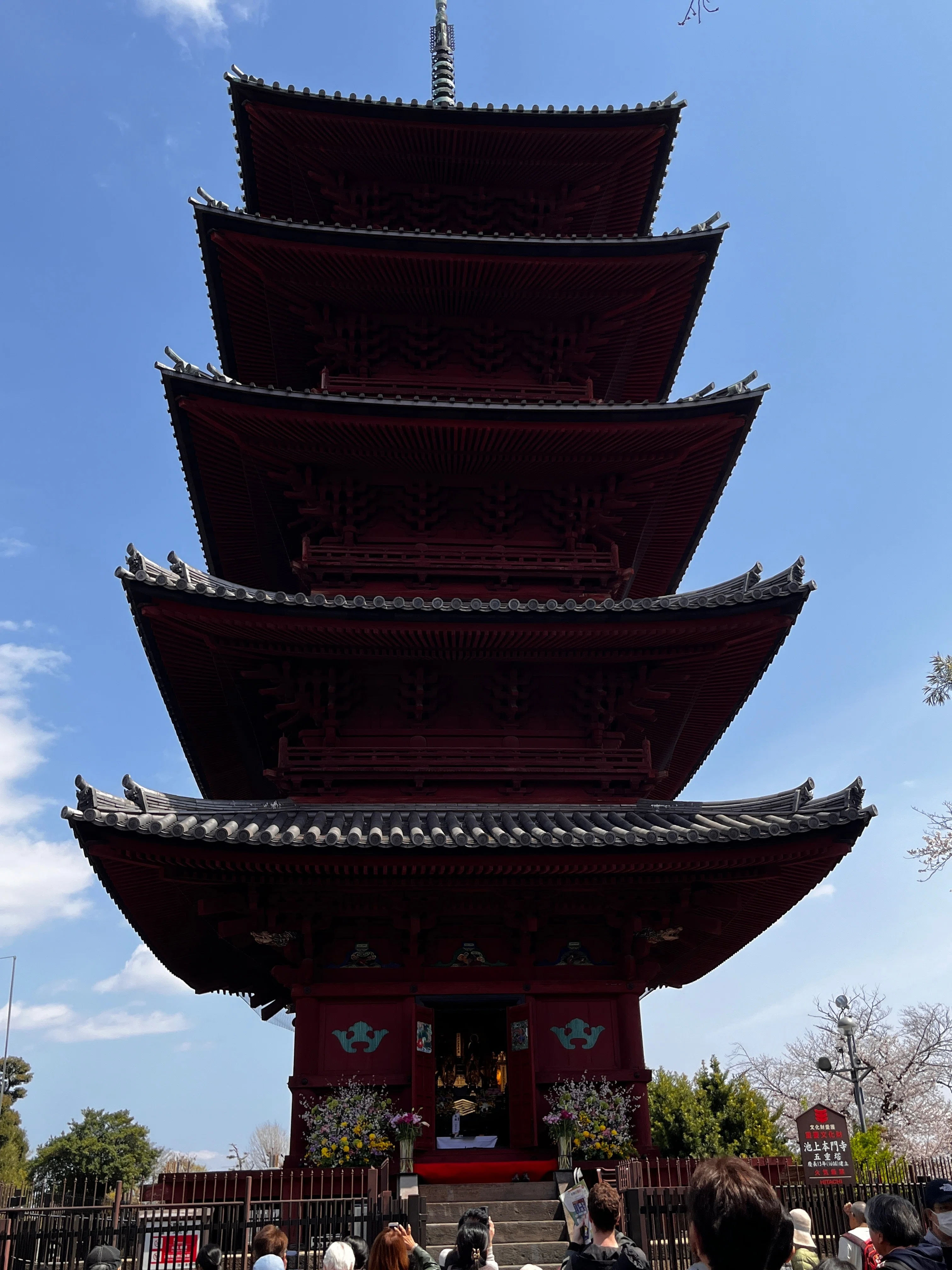 お花見散歩 池上本門寺春まつり〜馬込桜並木〜洗足池｜彩花サトコ