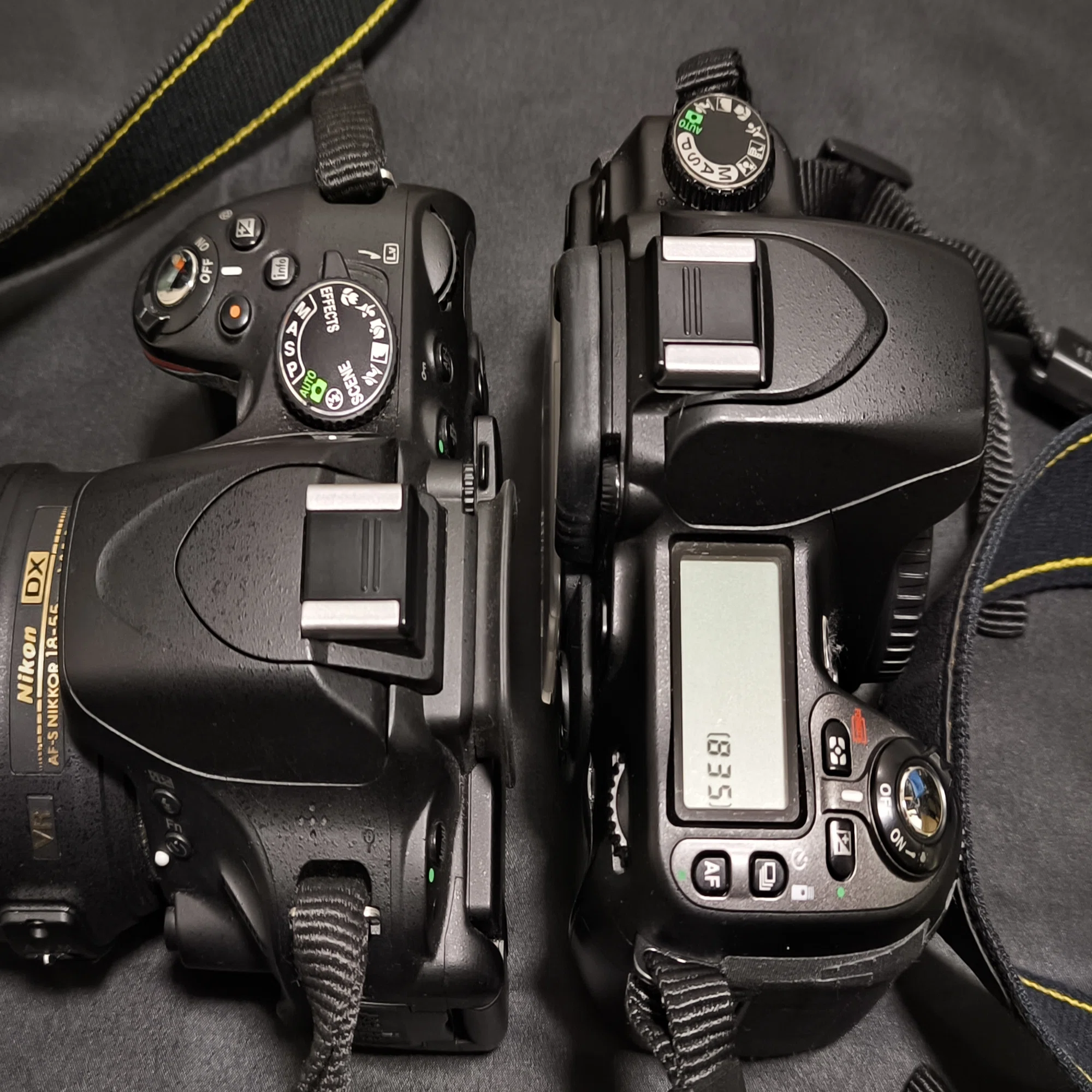 愛カメラ遍歴 Vol.5 ： Nikon D5100 スタンダードな軽量カメラ｜Tarciel