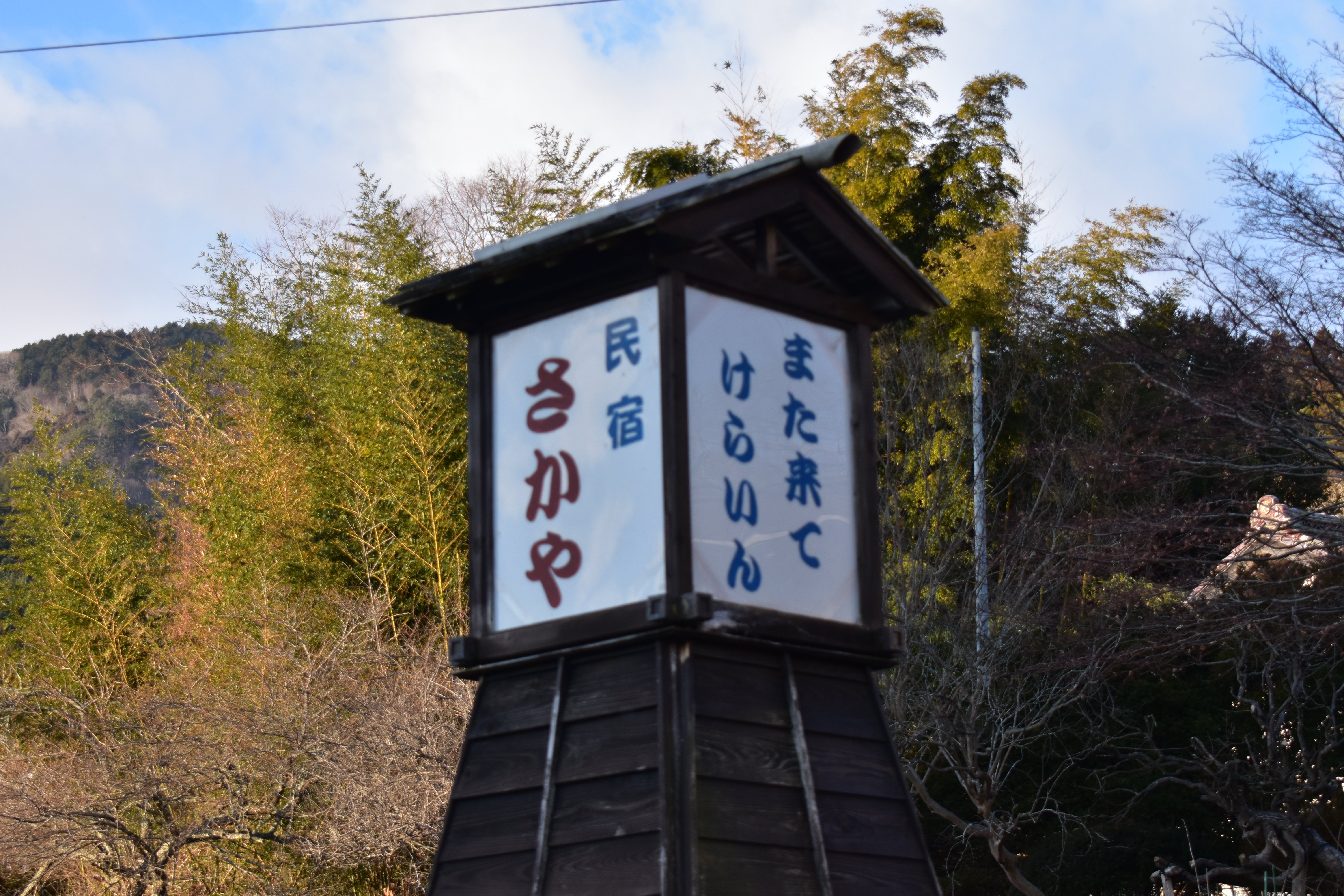 202502/三陸あたり②/大理石海岸｜旋回鳥.pp