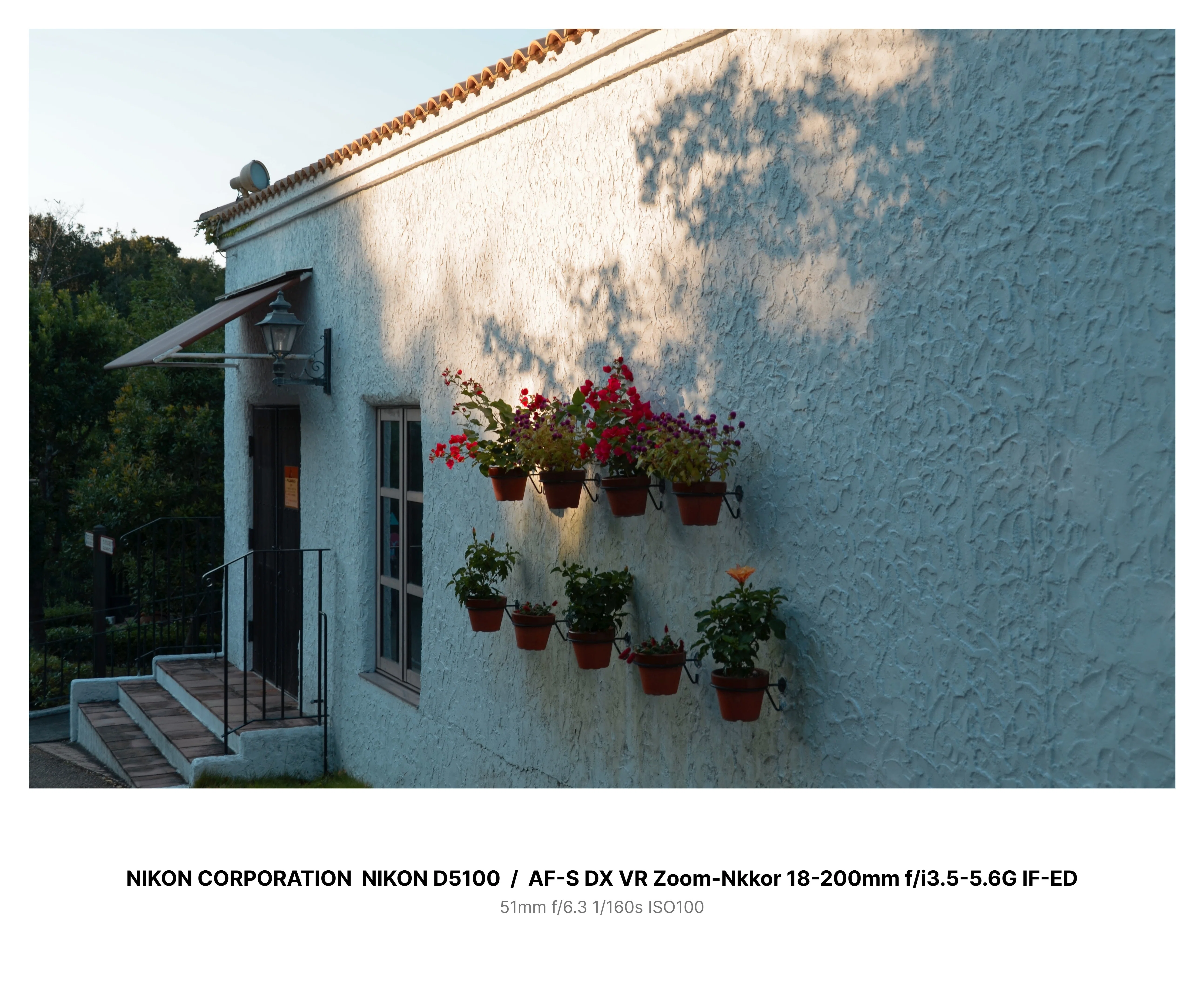 愛カメラ遍歴 Vol.5 ： Nikon D5100 スタンダードな軽量カメラ｜Tarciel