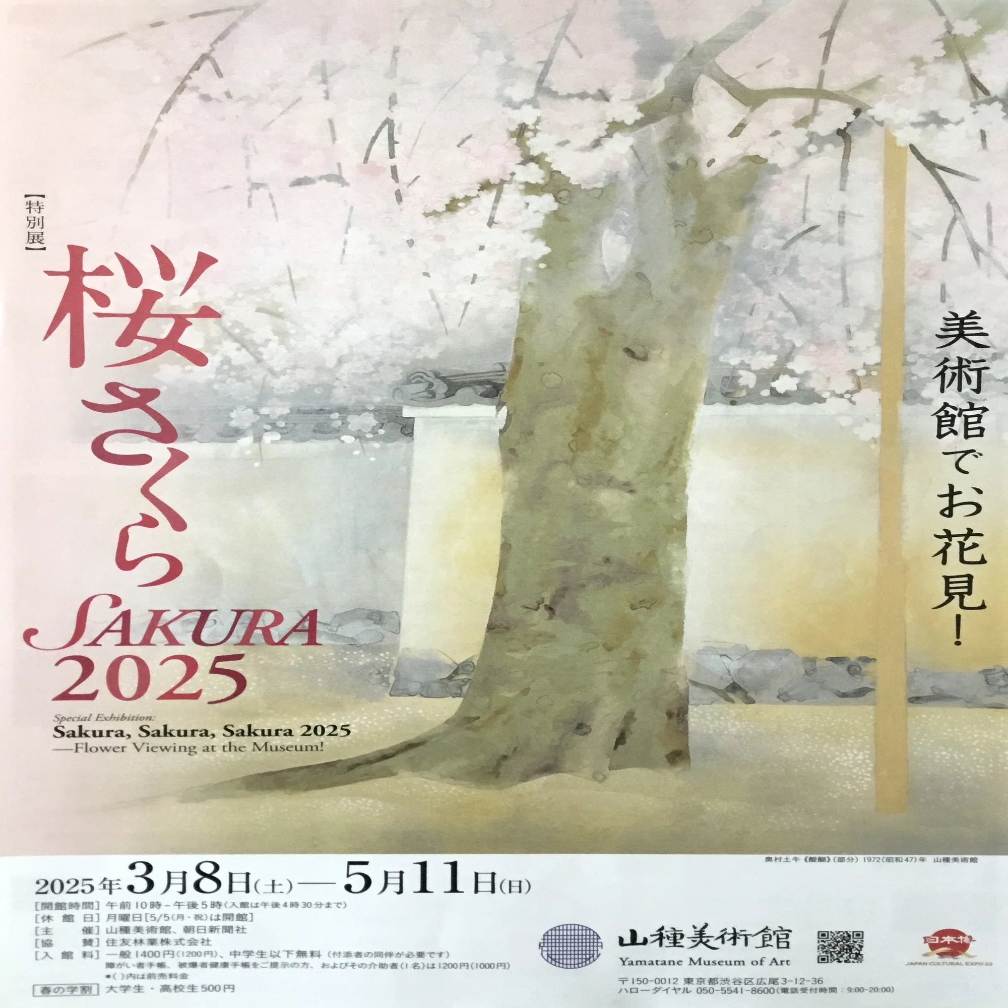 美術館でお花見 桜さくらSAKURA 2025 ＊ 山種美術館｜フランチェスカ