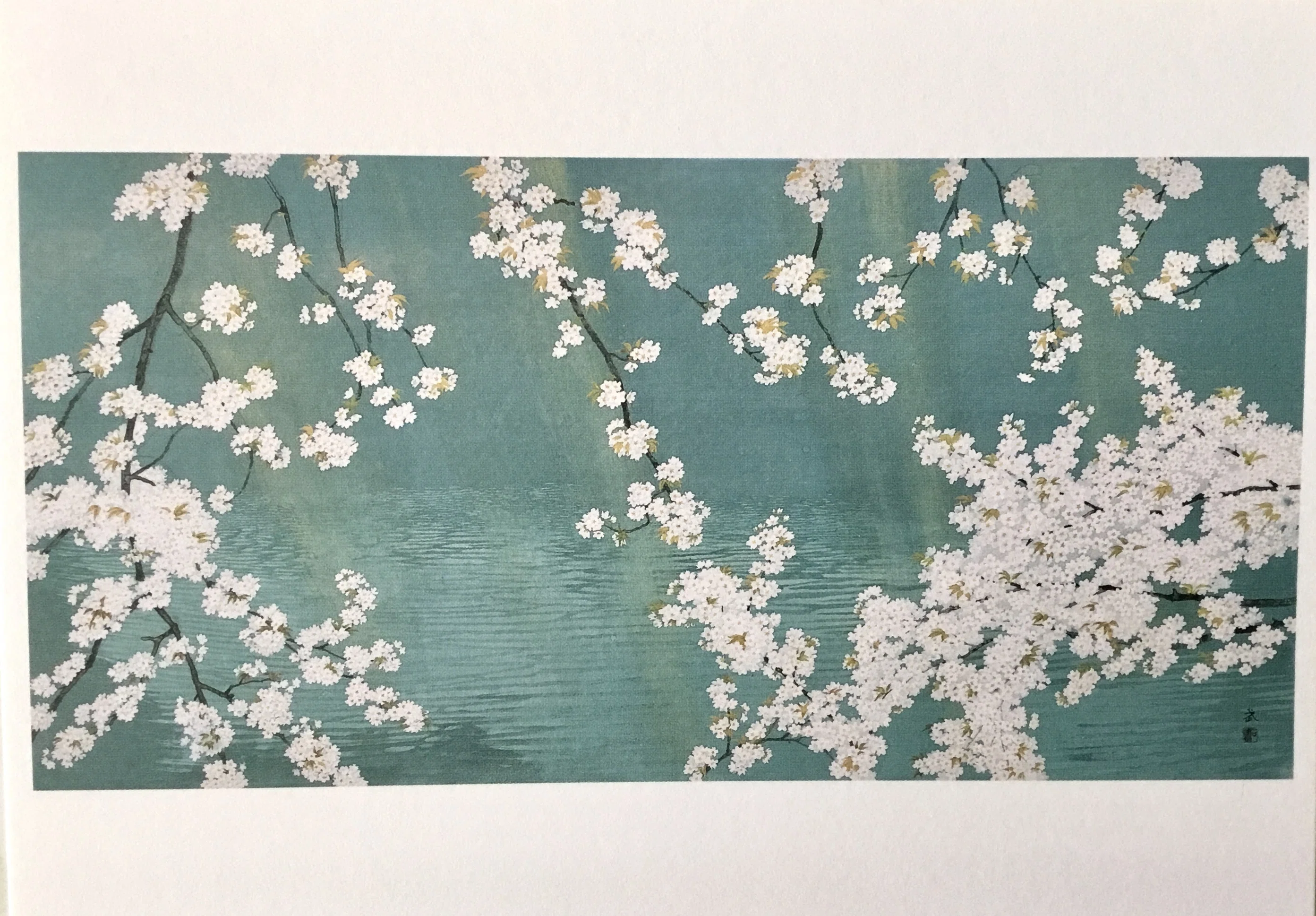 石田桂華、【桜花】、希少な額装用画集より、美品、新品額装付、インテリア 美術館でお花見 桜さくらSAKURA 2025 ＊ 山種美術館｜フランチェスカ