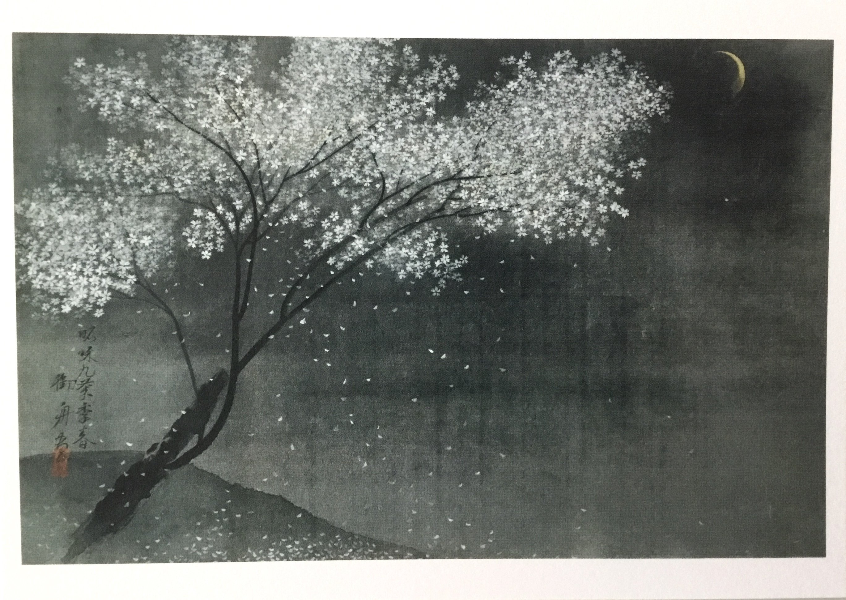 美術館でお花見 桜さくらSAKURA 2025 ＊ 山種美術館｜フランチェスカ