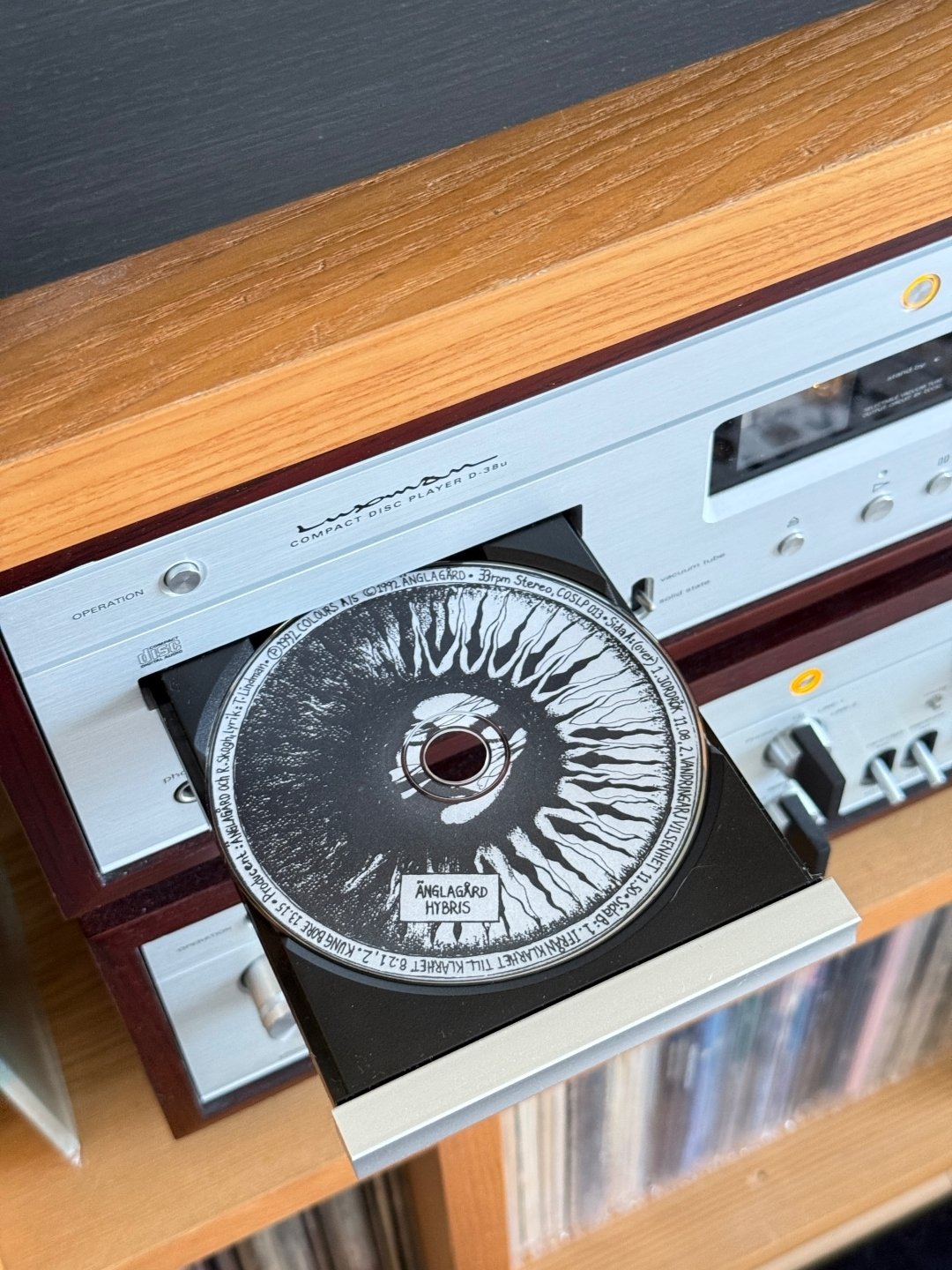 訂訳】〜北欧プログレの金字塔〜Änglagård『Hybris』徹底解説｜誤訳の