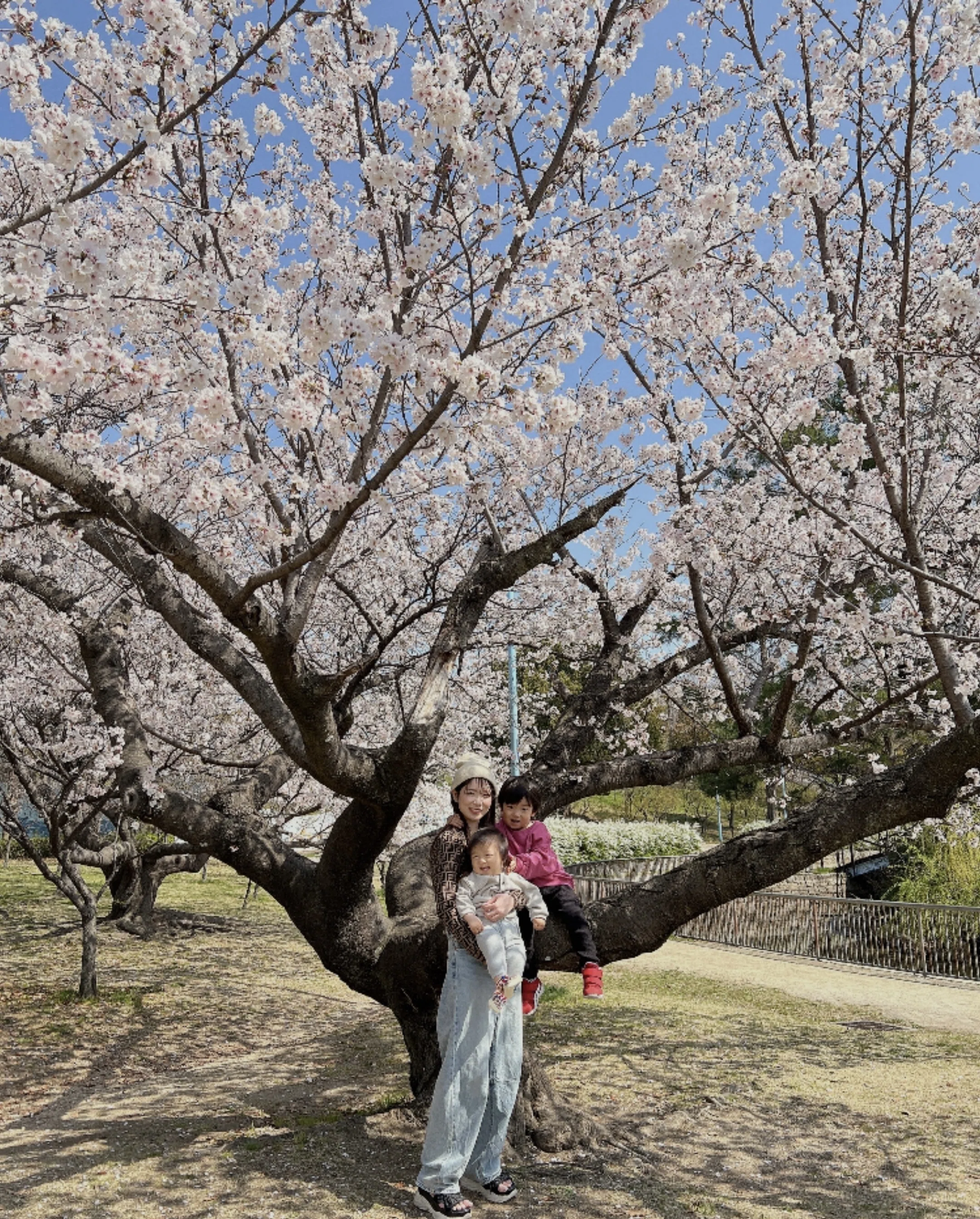 お花見日和🌸可愛すぎる子どもたちとのお散歩は自分を癒してあげる大切