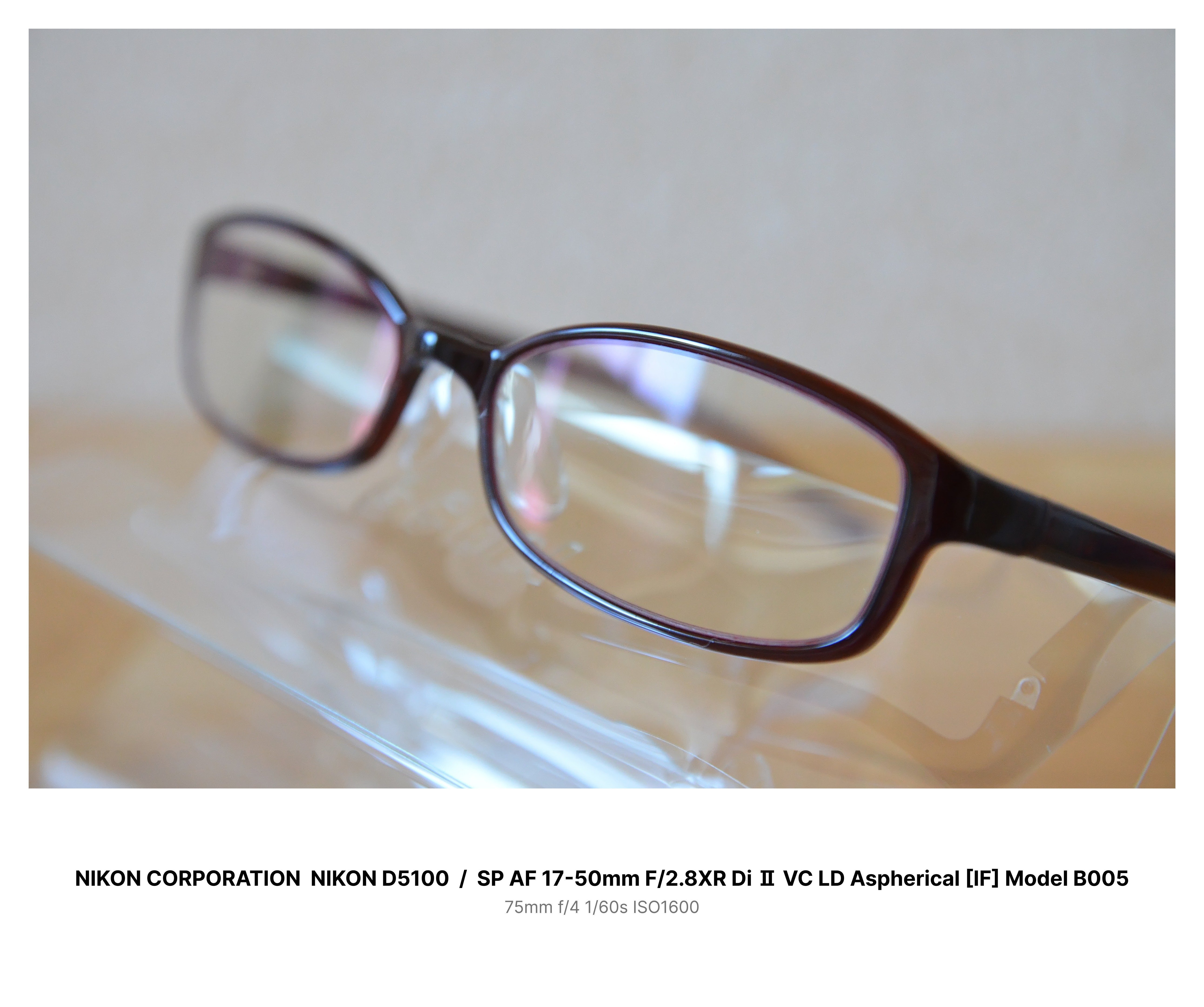 愛カメラ遍歴 Vol.5 ： Nikon D5100 スタンダードな軽量カメラ｜Tarciel