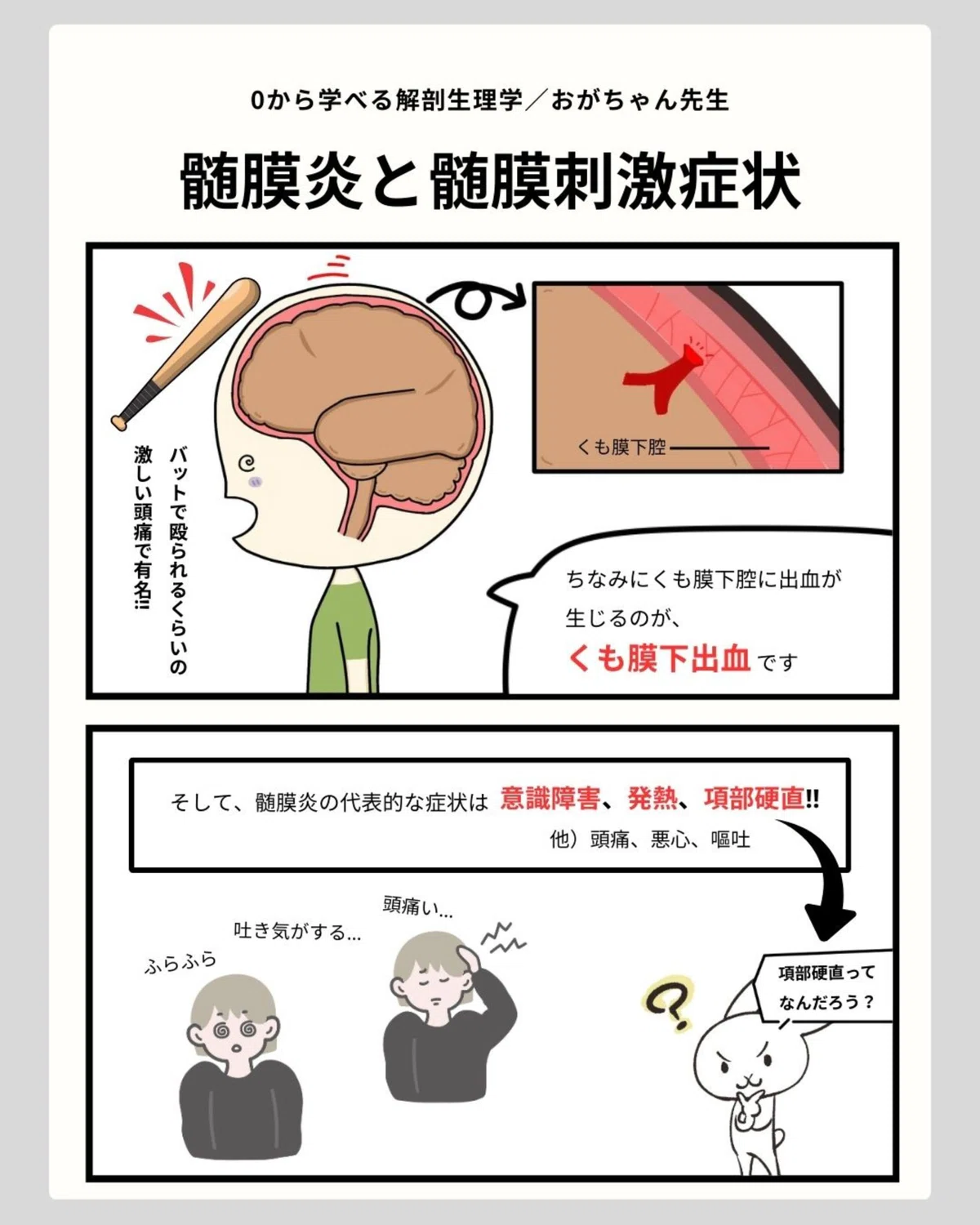 【髄膜炎と髄膜刺激症状】イラスト図解でわかりやすく解説!!｜おがちゃん先生／解剖生理