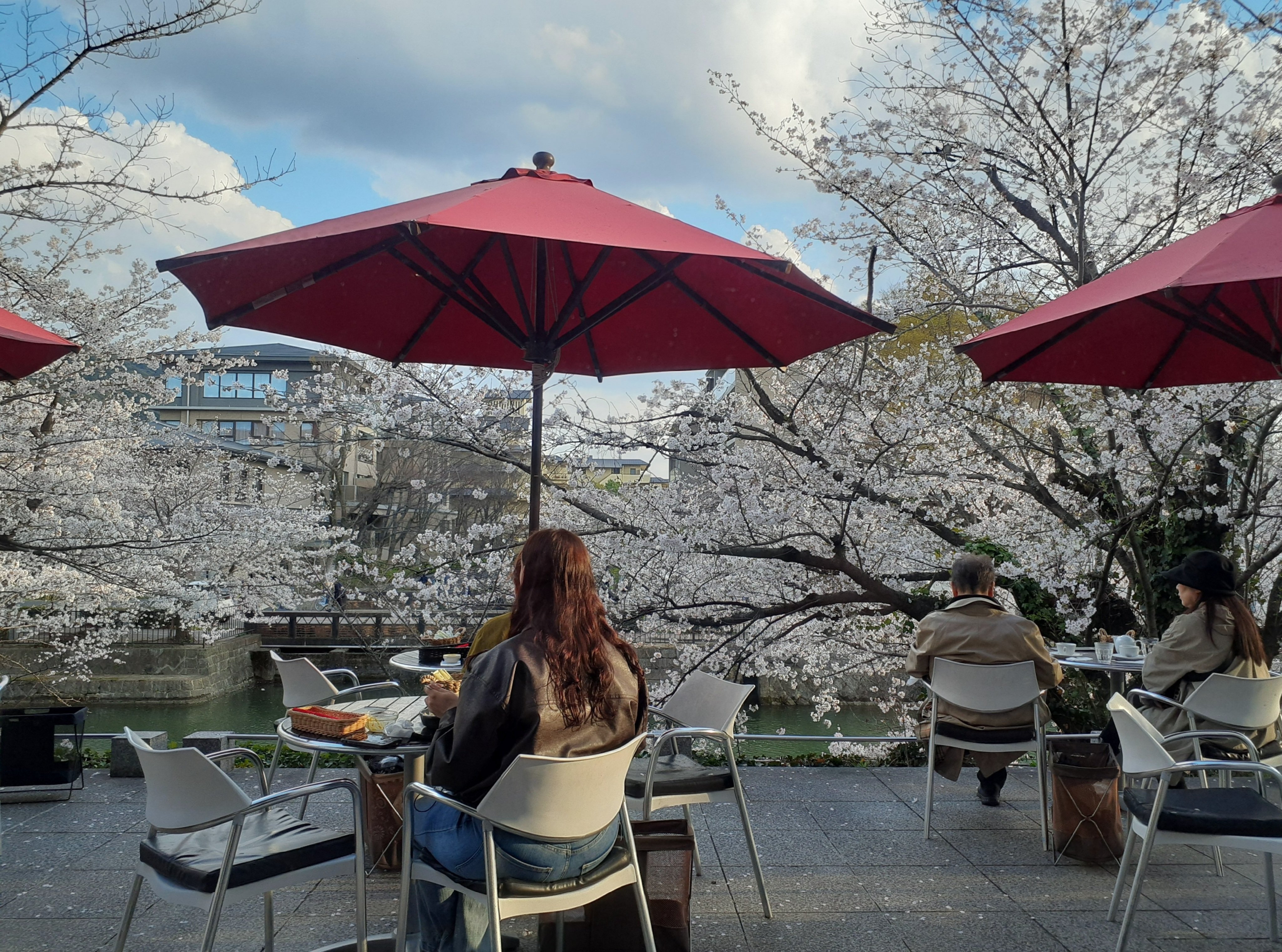 若きポーランド［色彩と魂の詩1890-1918］展と京都岡崎の桜｜吉祥旦