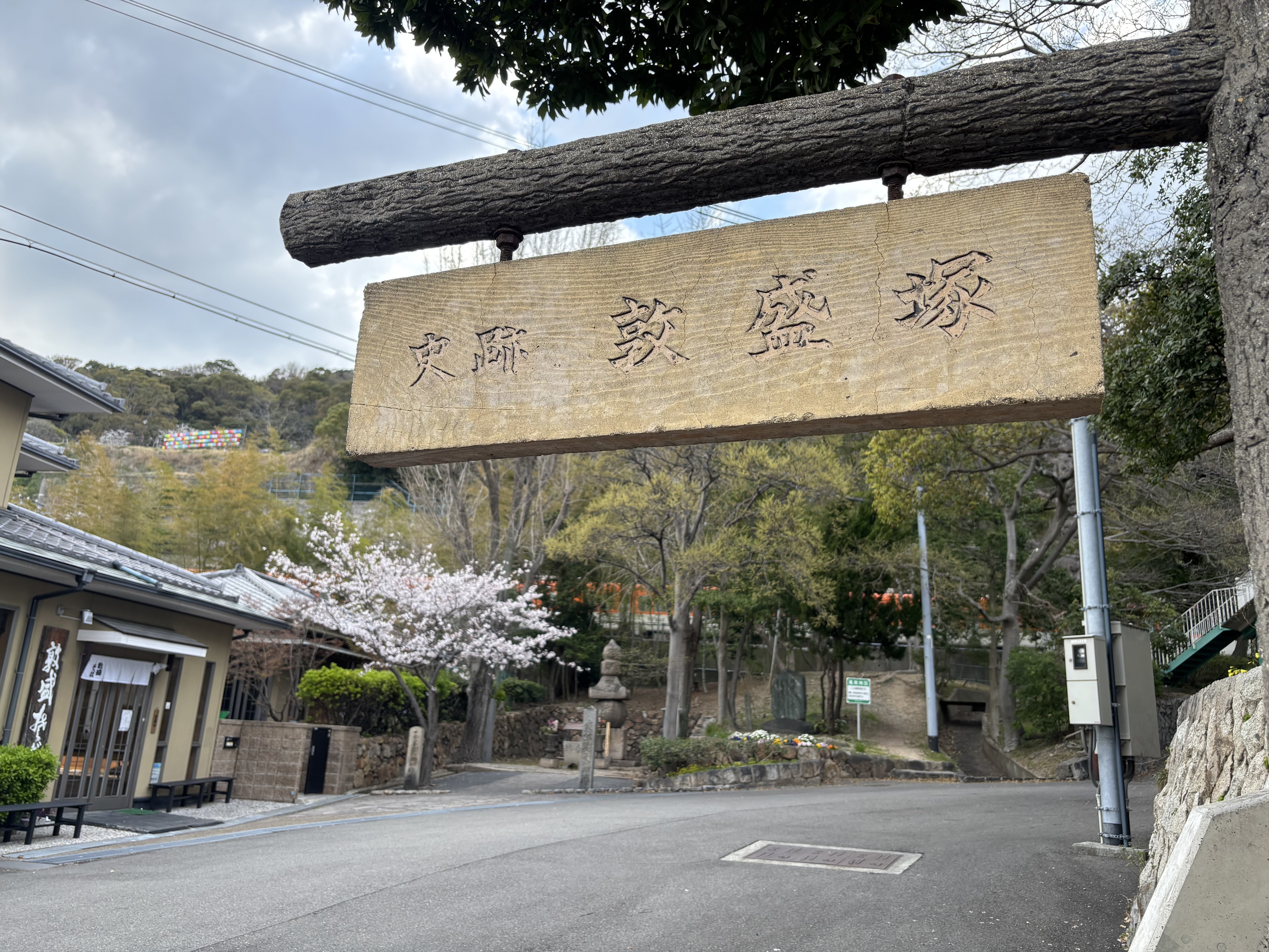 敦盛桜を観に須磨へ 須磨浦公園で｜主婦の肩書きだけあるる