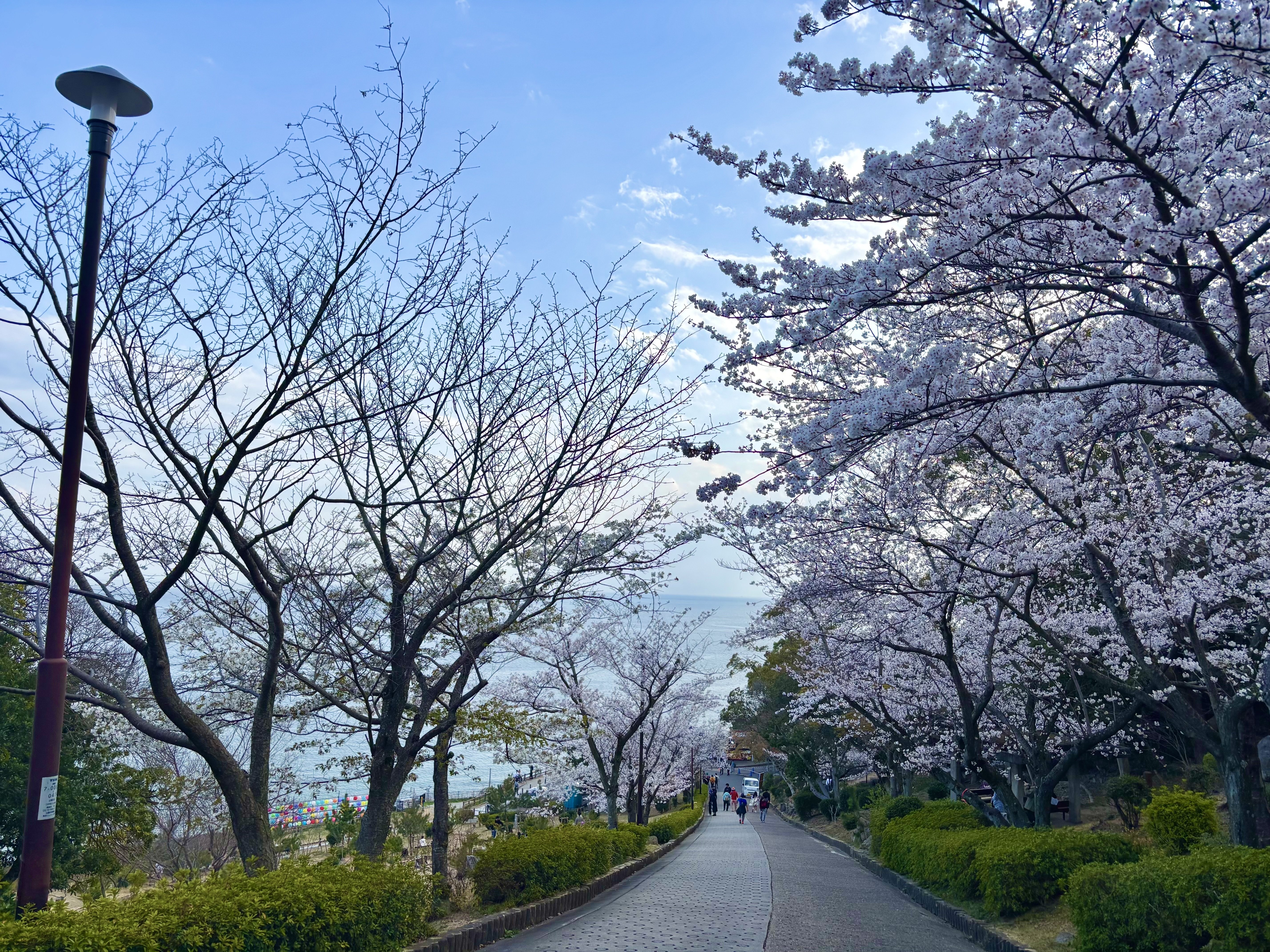 摂州須磨浦真景 摂州須磨浦一ノ谷真景細見|神戸市立中央図書館 貴重資料デジタル