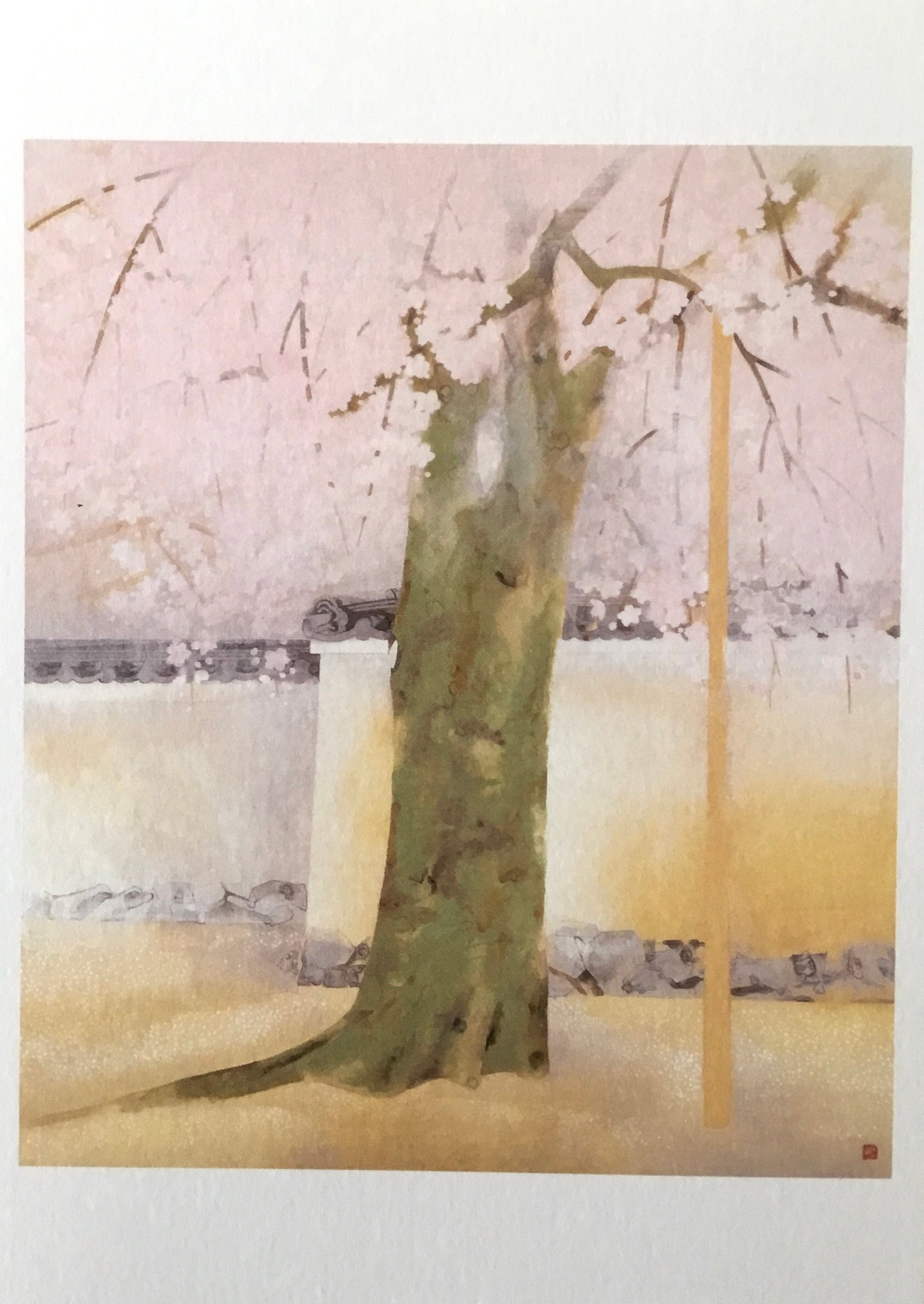 美術館でお花見 桜さくらSAKURA 2025 ＊ 山種美術館｜フランチェスカ