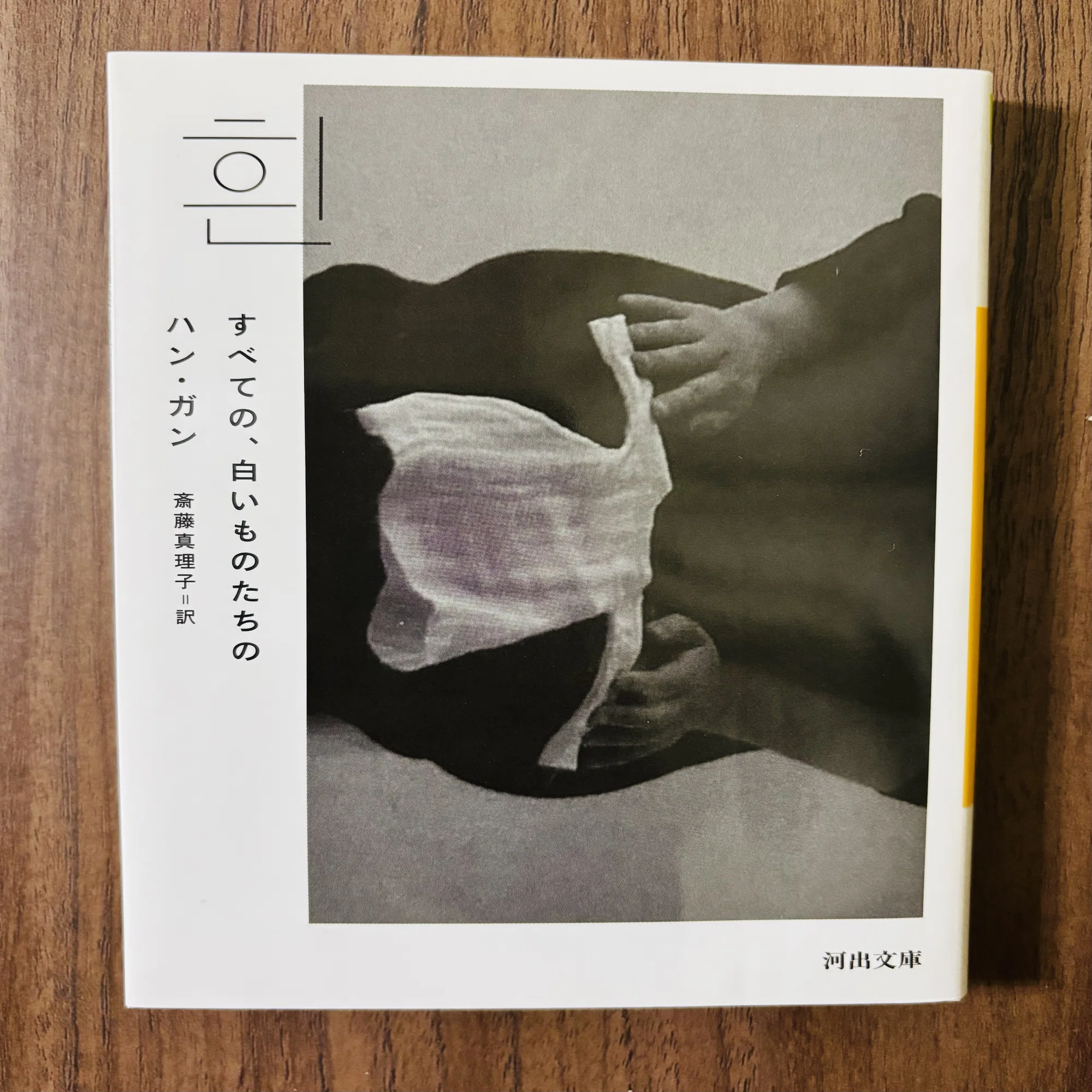 読書日記2025年3月 ハン・ガン『すべての、白いものたちの』｜早高叶