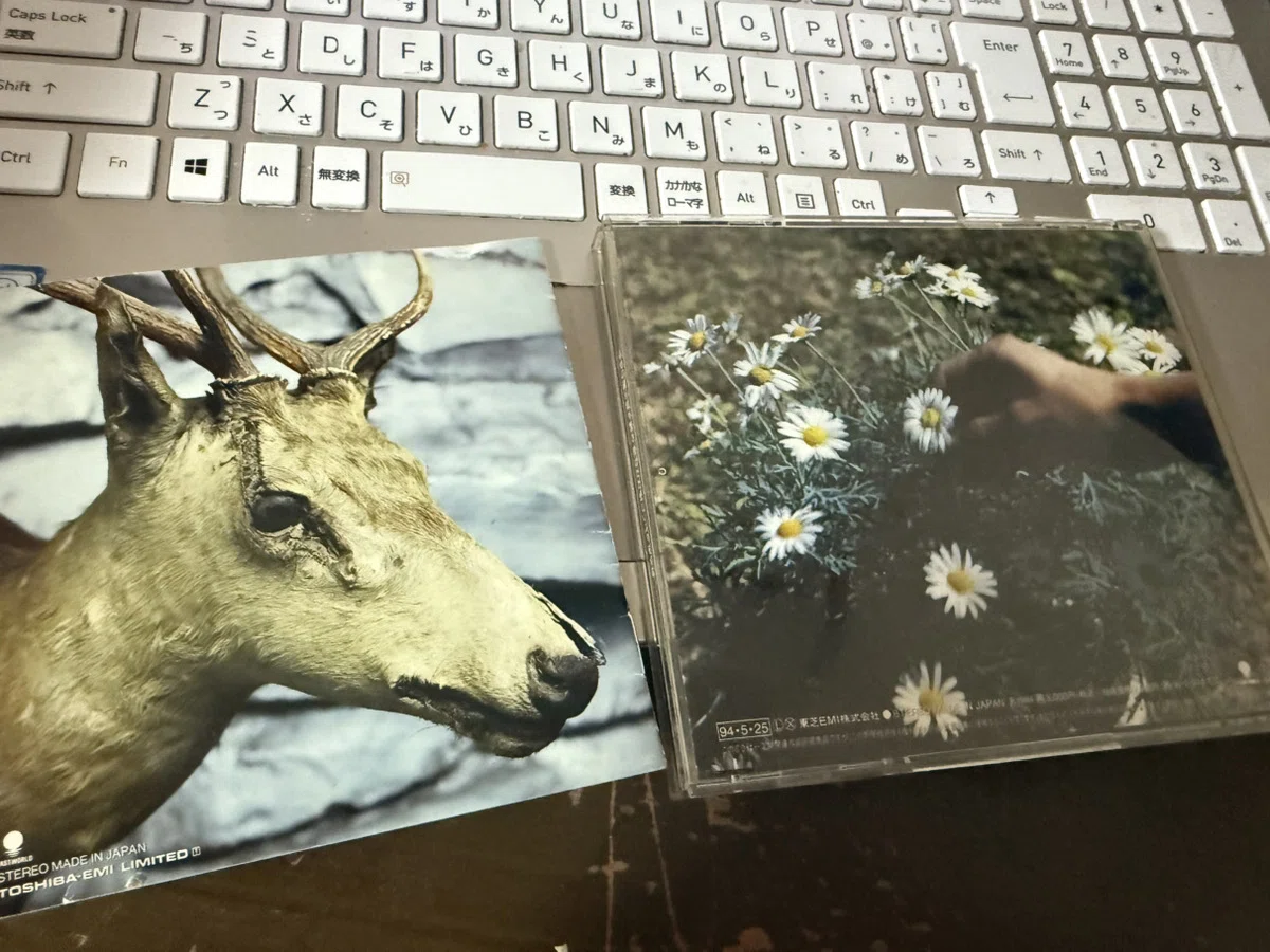 1054 アルバム論78｜幸せの鐘が鳴り響き僕はただ悲しいふりをする