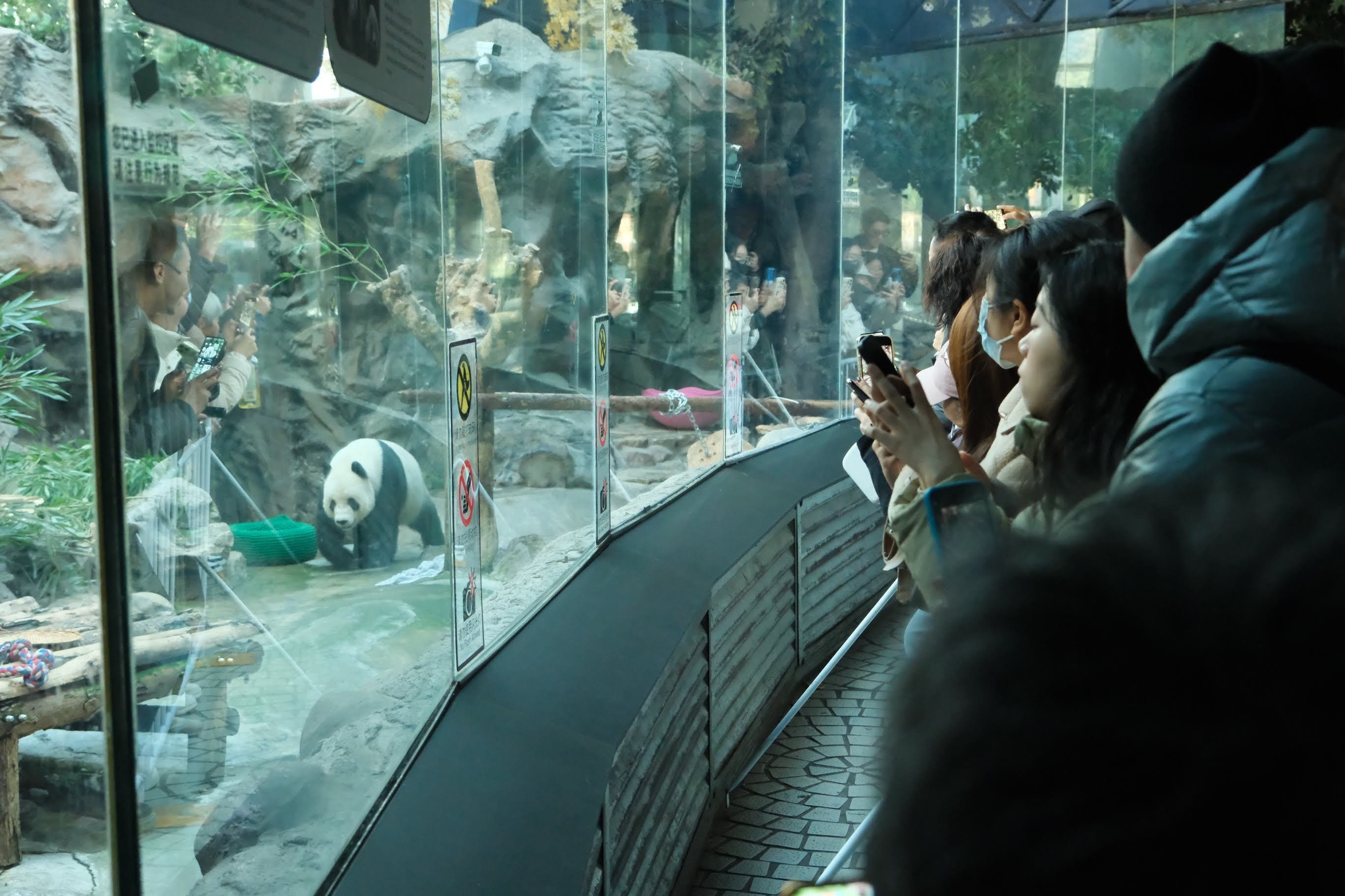 北京旅④｜一人でパンダを見に行く。｜TAKASHI