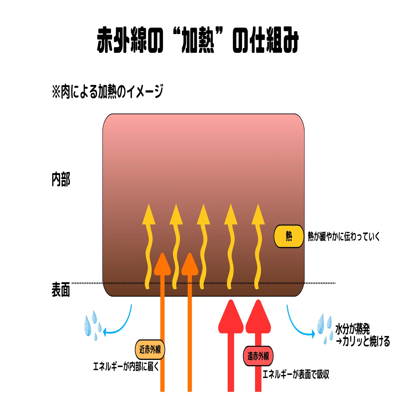 公の場での発言・インタビュー報道記録