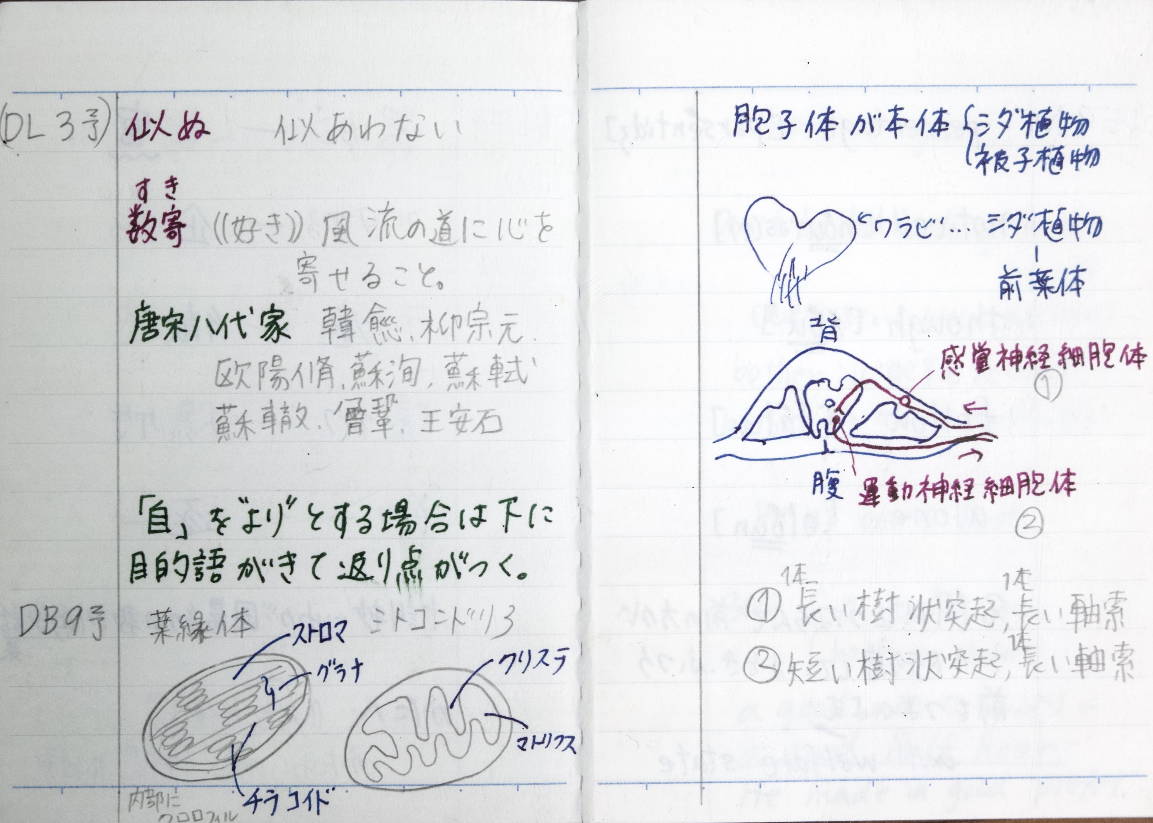 試験本番に役立つノートの作り方｜東大・京大・難関大対策 学習塾 Dear