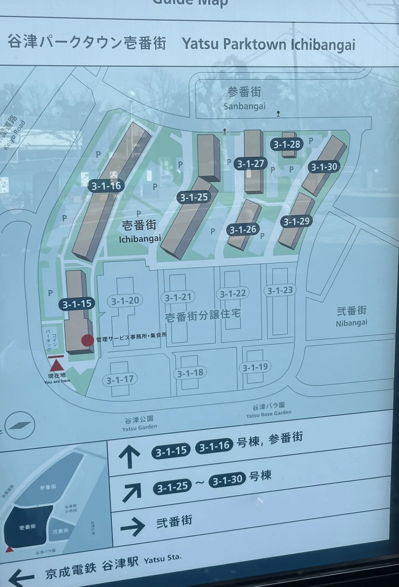 展示会】谷津遊園 跡地で写真展開催！祝開園100年！ 3/31～5/24