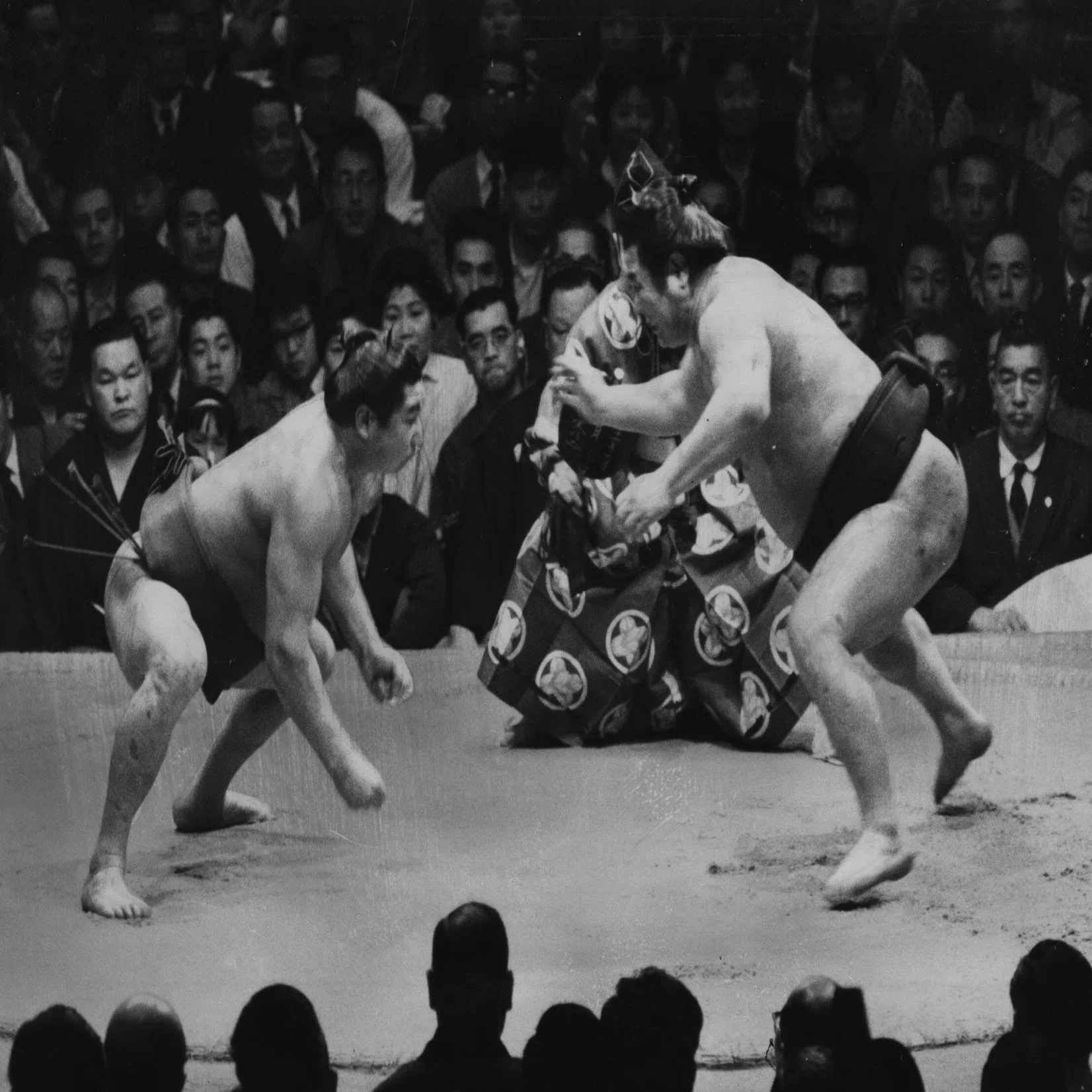 1960年、「栃若時代」が終わりを告げ「柏鵬時代が始まった【大鵬連載#3 