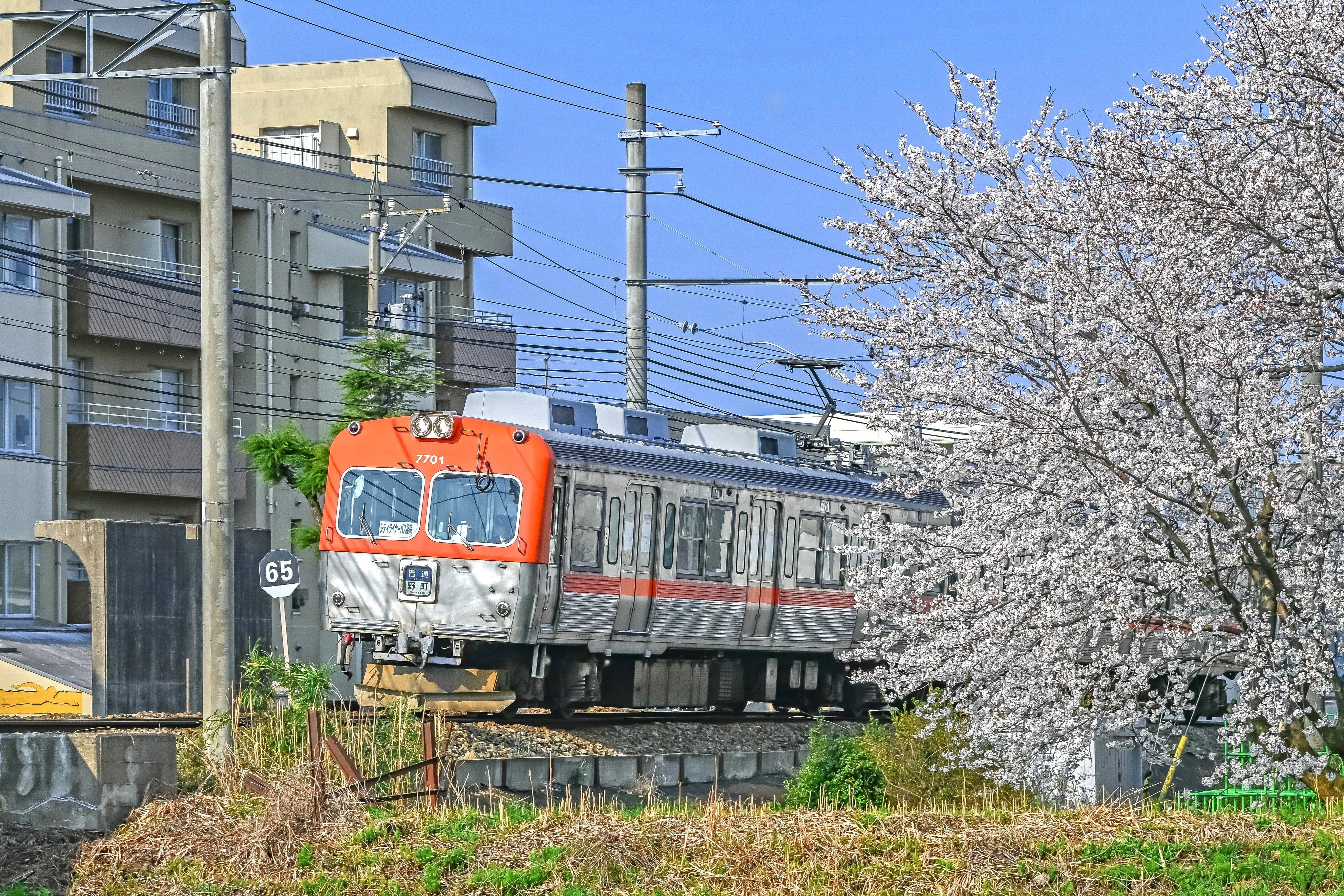 ゆる鉄】桜と撮る北陸鉄道：石川線｜もんぶらん