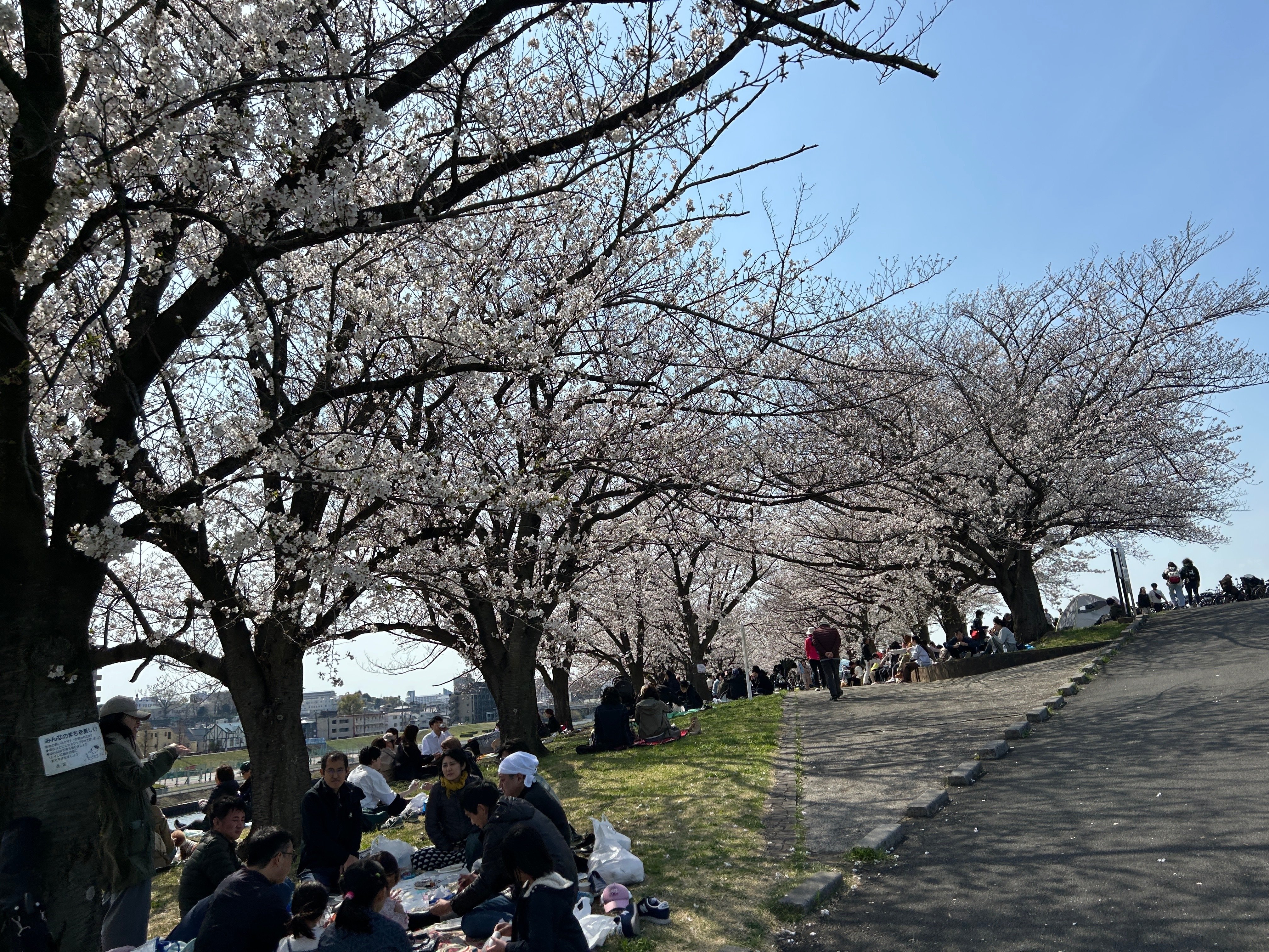 東京都荒川区の風景印(全6局) | 風薫る御朱印巡り2