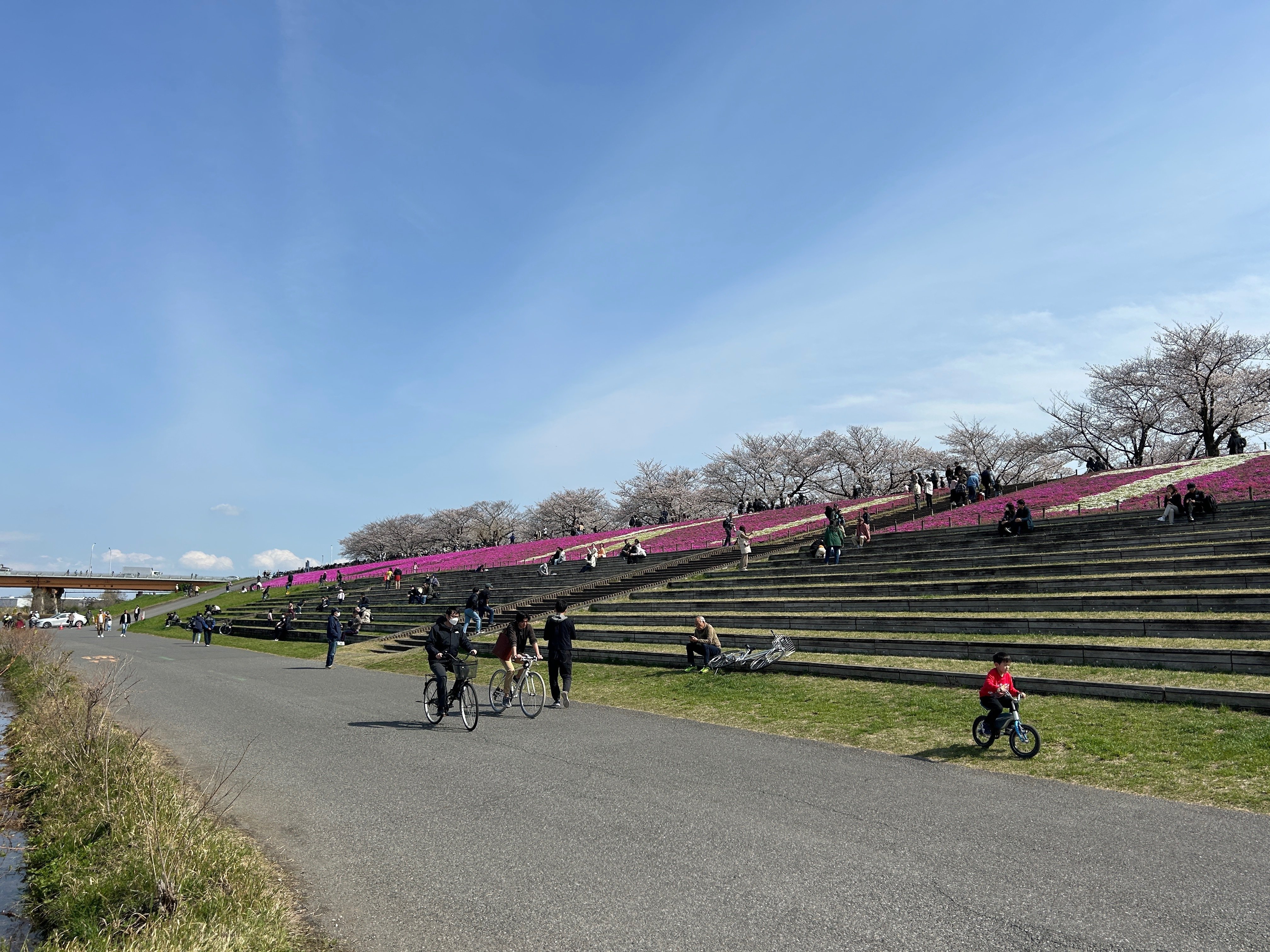 荒川土手でお花見 2025年4月5日の日記｜nobuo_uc