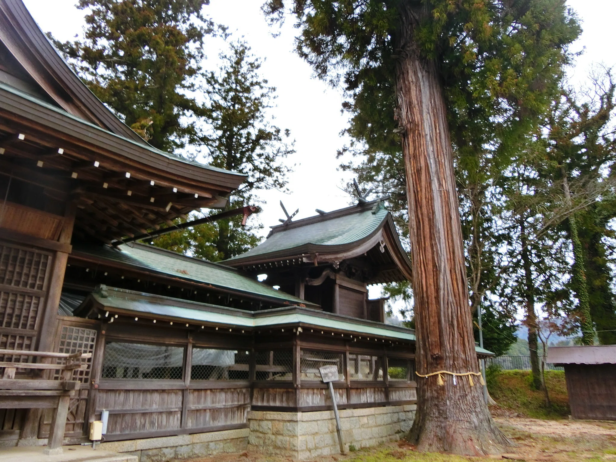 アマテラスじゃなくて「天照玉命神社」天照国照彦天火明櫛玉饒速日尊