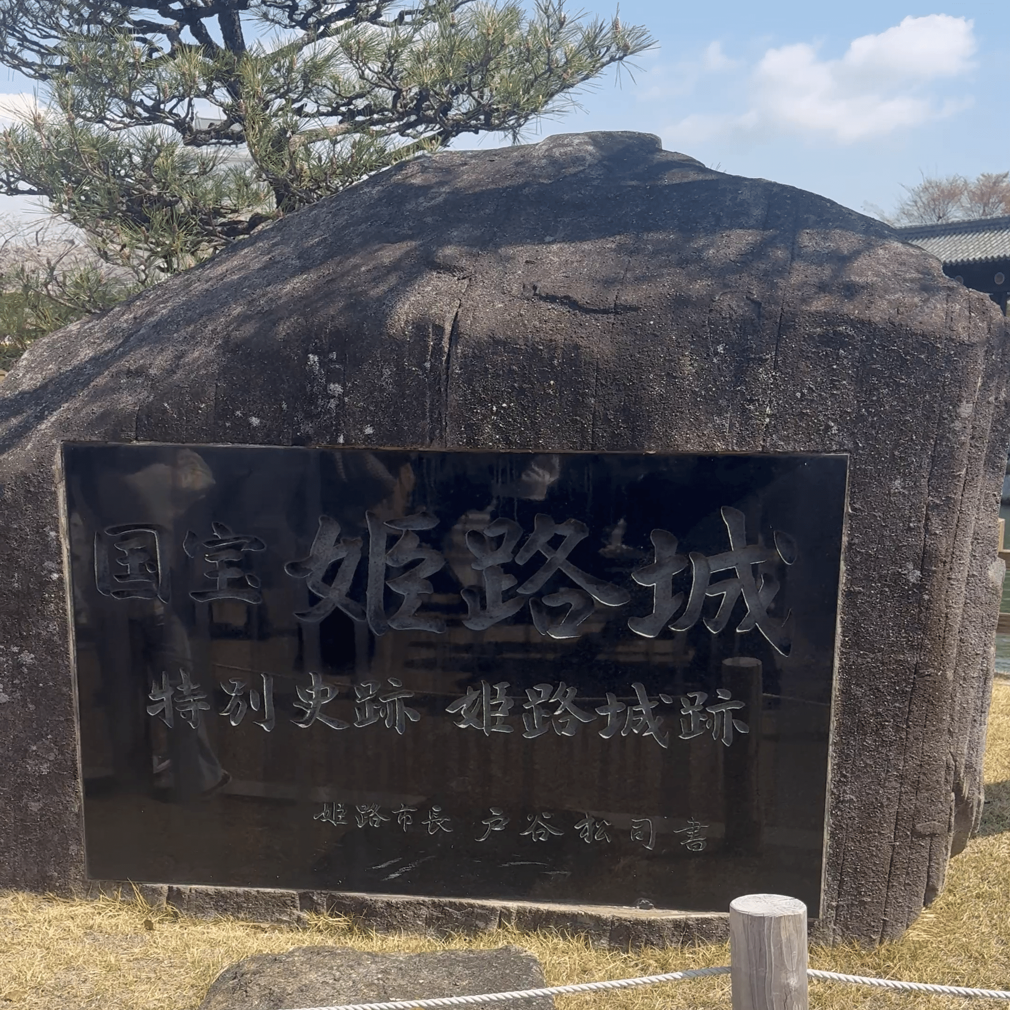 花びらまみれの白鷺城──姫路城の春｜雲
