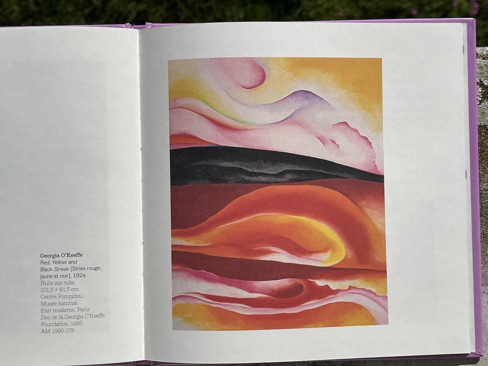 ふらんすの小さな図書館より〉ジョージア・オキーフの作品世界を