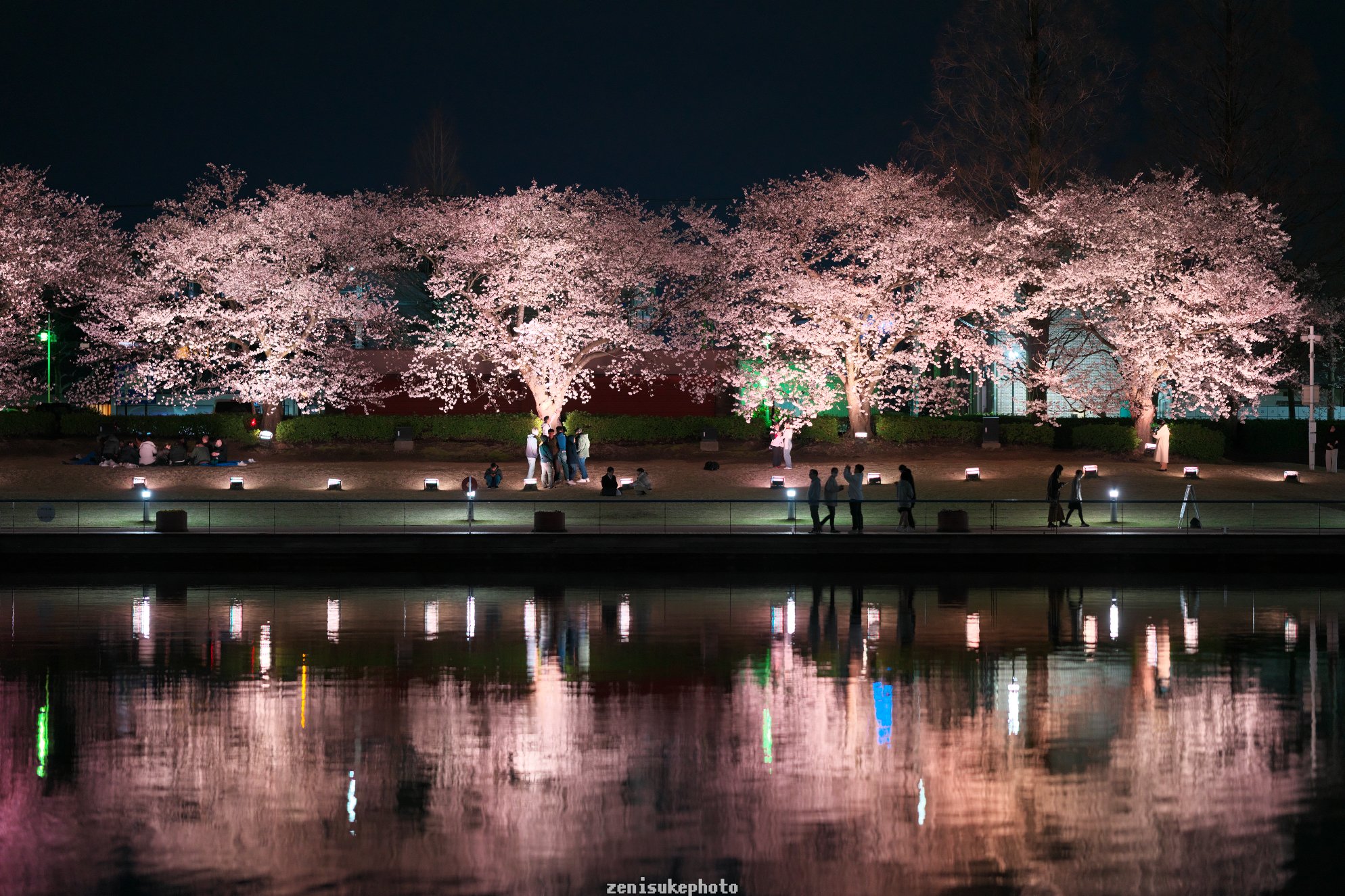 夜桜様ご確認ページ 夜桜撮影の苦手意識｜銭祐