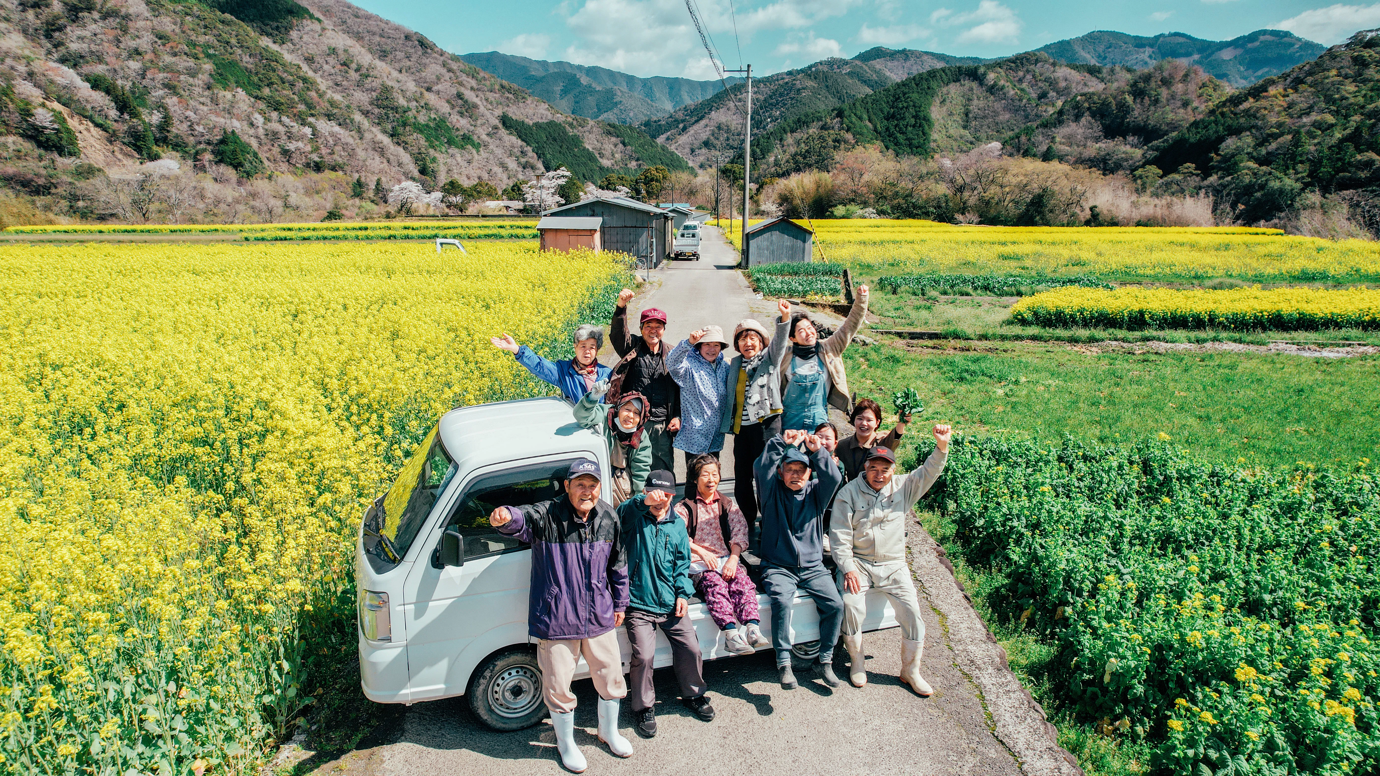 みんなで咲かせた春の絶景。チーム三島で守る、菜の花プロジェクトの