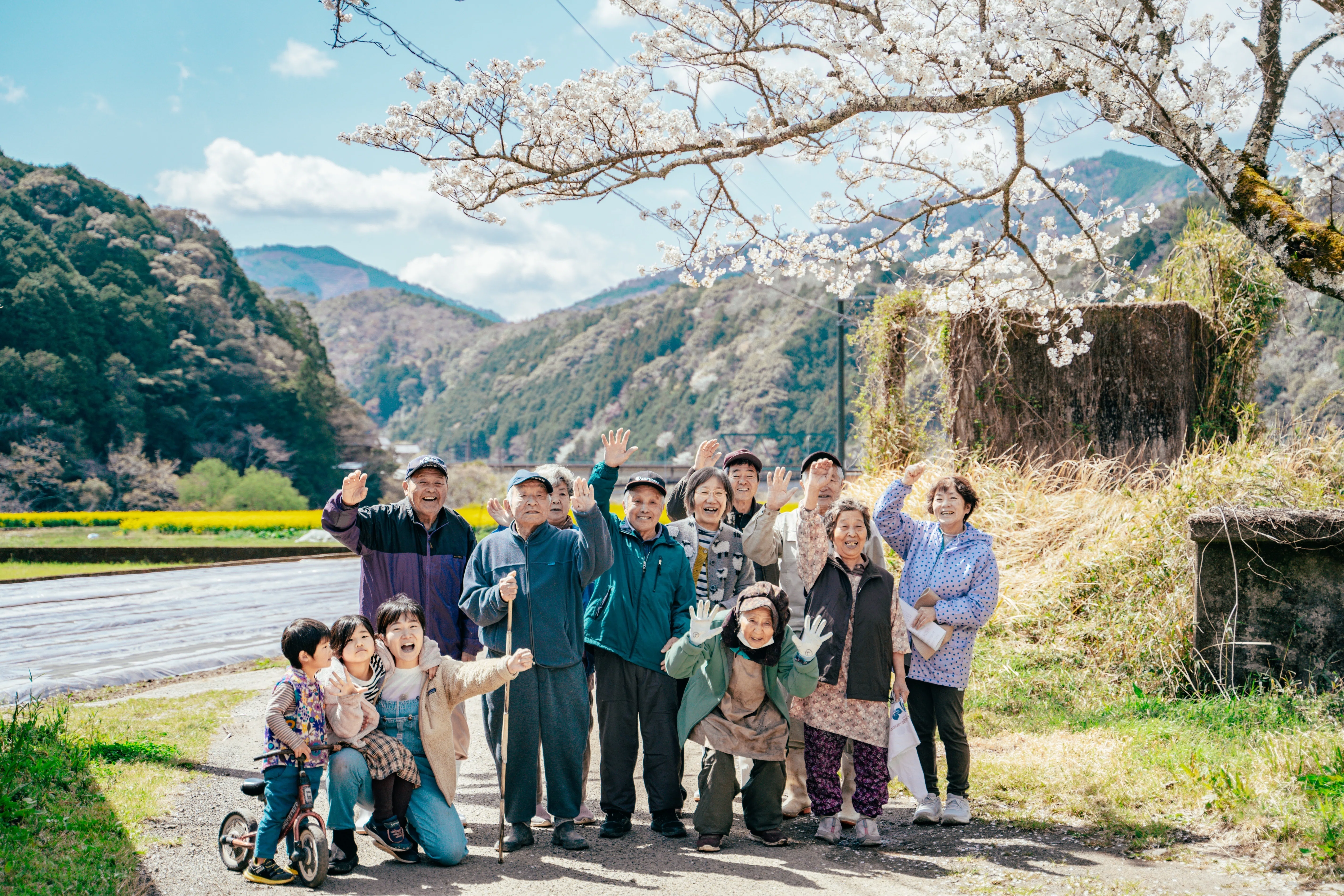 みんなで咲かせた春の絶景。チーム三島で守る、菜の花プロジェクトの