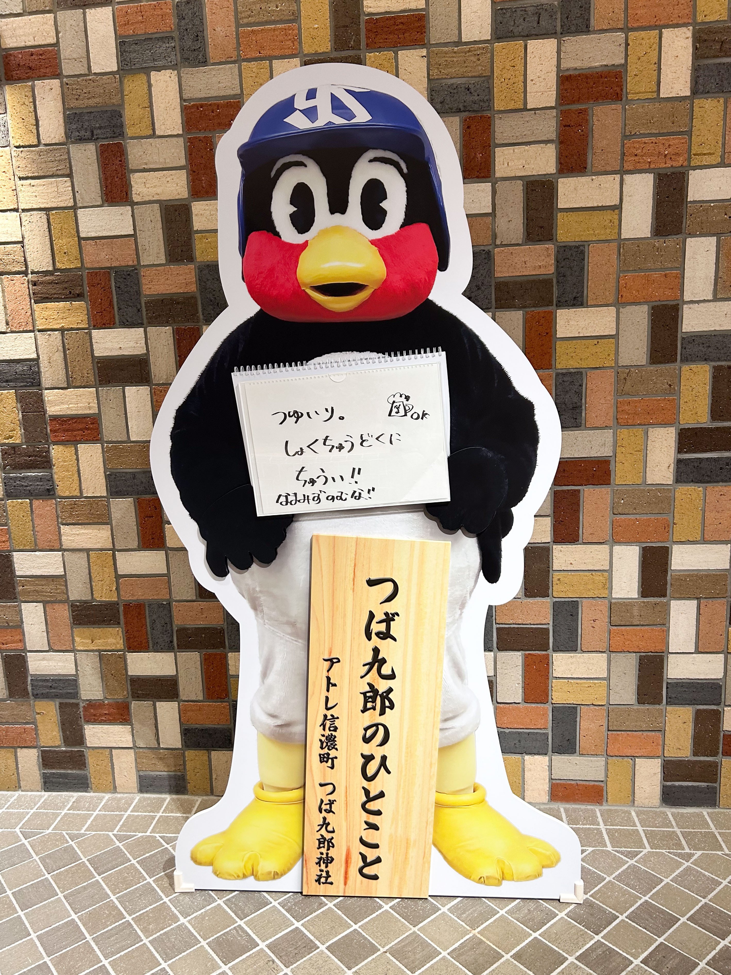 【数々のアワードを受賞】 わたしのための、つば九郎備忘録。｜ふじさわ／写真とデザイン スポーツ選手