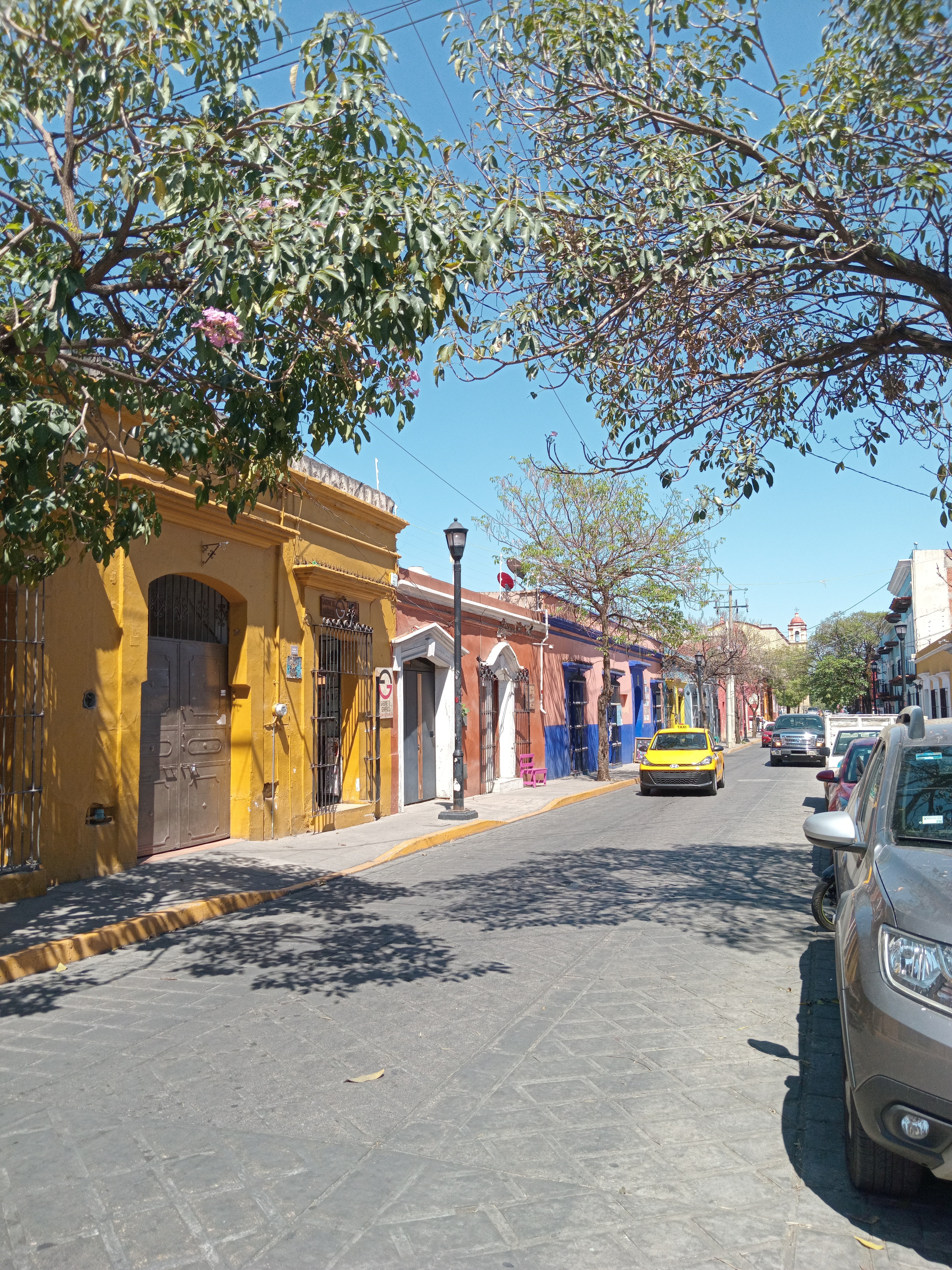 🇲🇽メキシコ】#8 オアハカの水道橋とカラフルな街並み｜リエ｜畑と旅