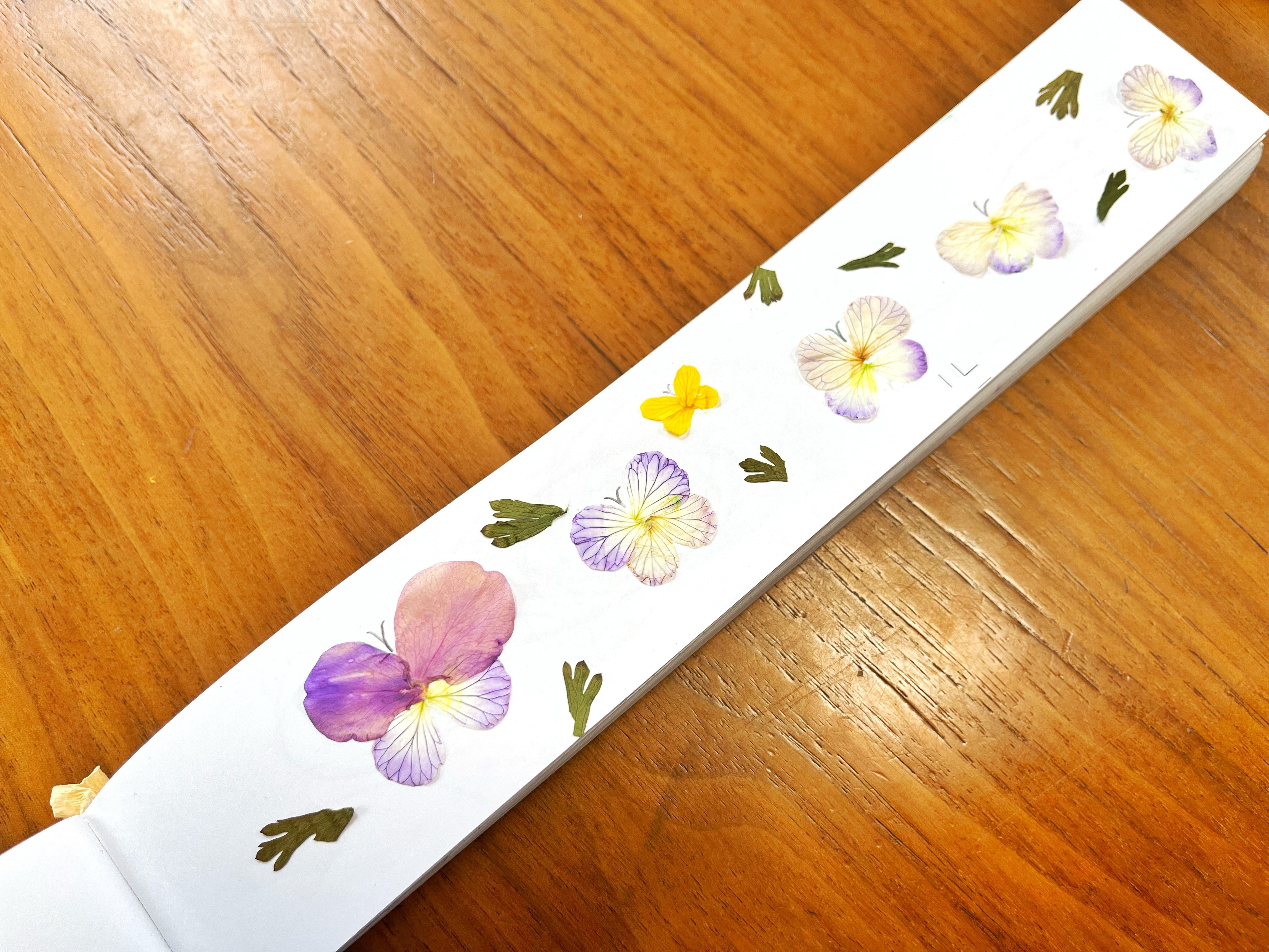 アイロンで押し花をつくってみよう｜mo*