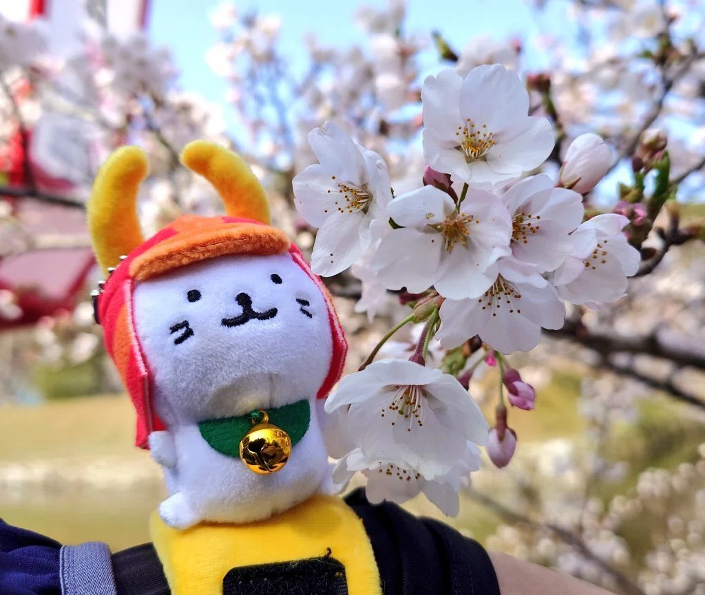 ひこにゃんぬいぐるみバンド・サガラ刺繍ポーチ♡｜彦根城内 鐘の丸売店