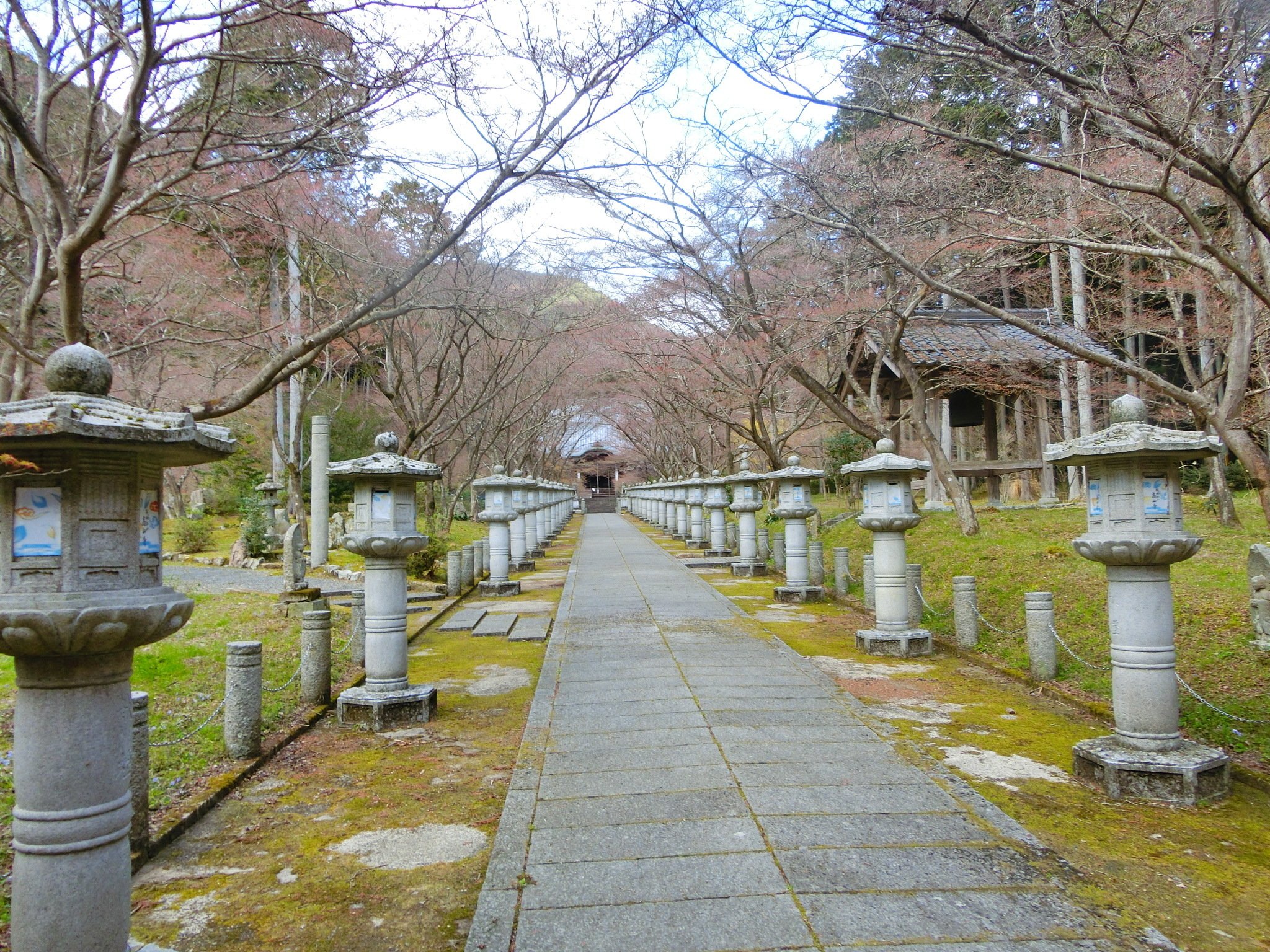三宝類字集 高山寺本 三宝類字集 高山寺本