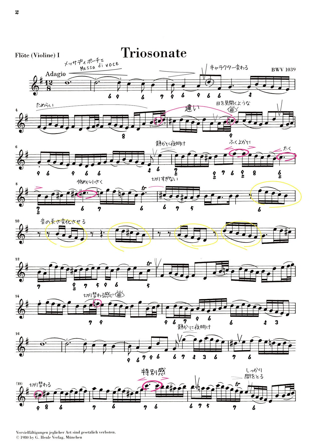 フルート合宿 J.S.バッハBWV1039に挑戦｜music and words