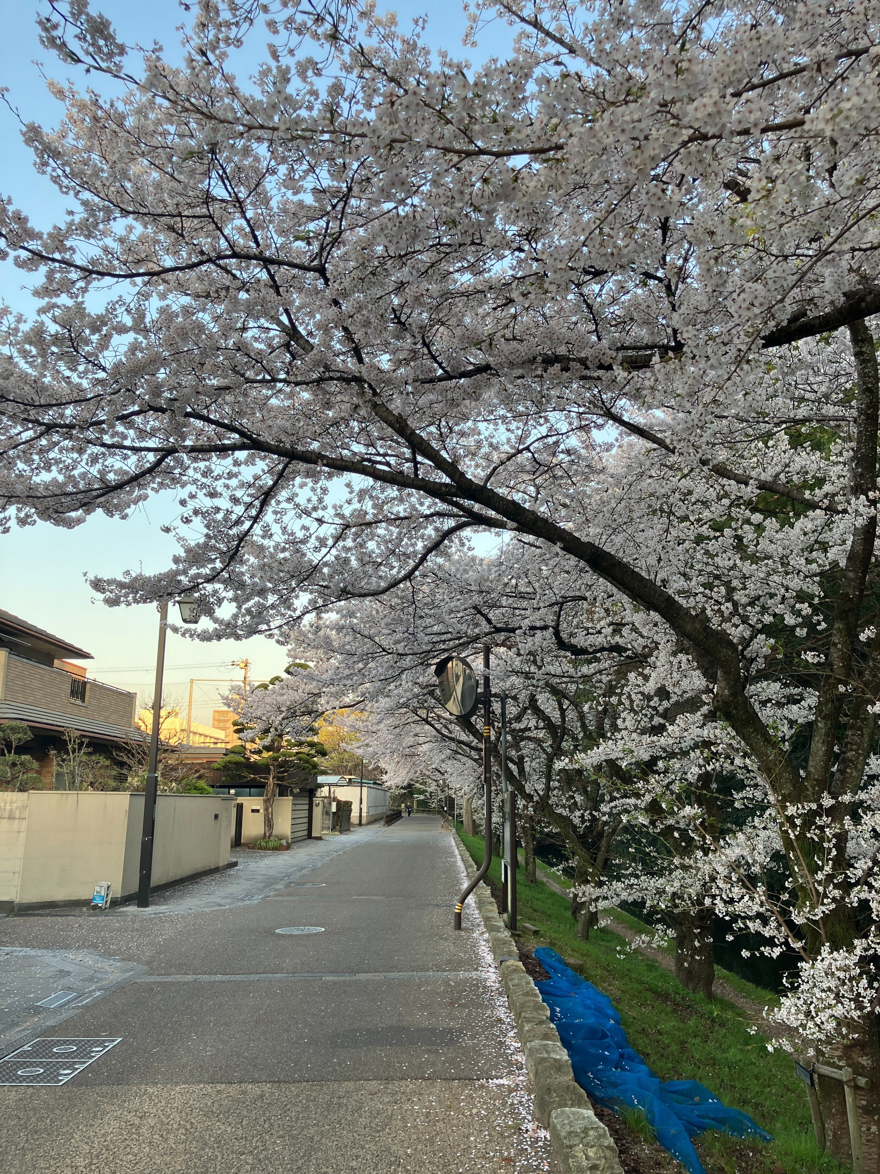 写真家HABUさんとの出会いが25年後にもたらしてくれたもの｜Ichimura