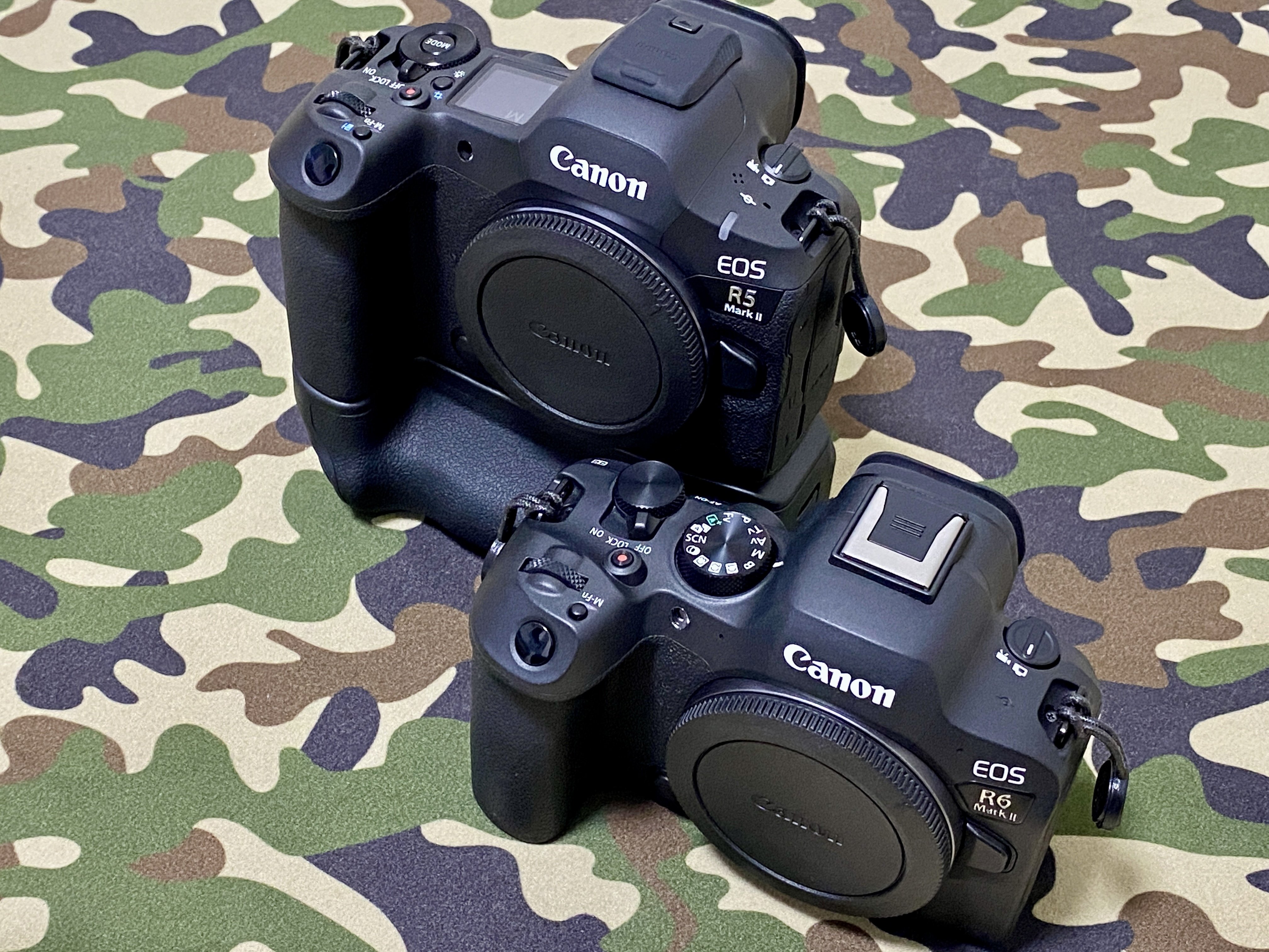Canon EOS R6 Mark II 到着 #2124|RURI Canon EOS R6 Mark II 到着 #2124|RURI