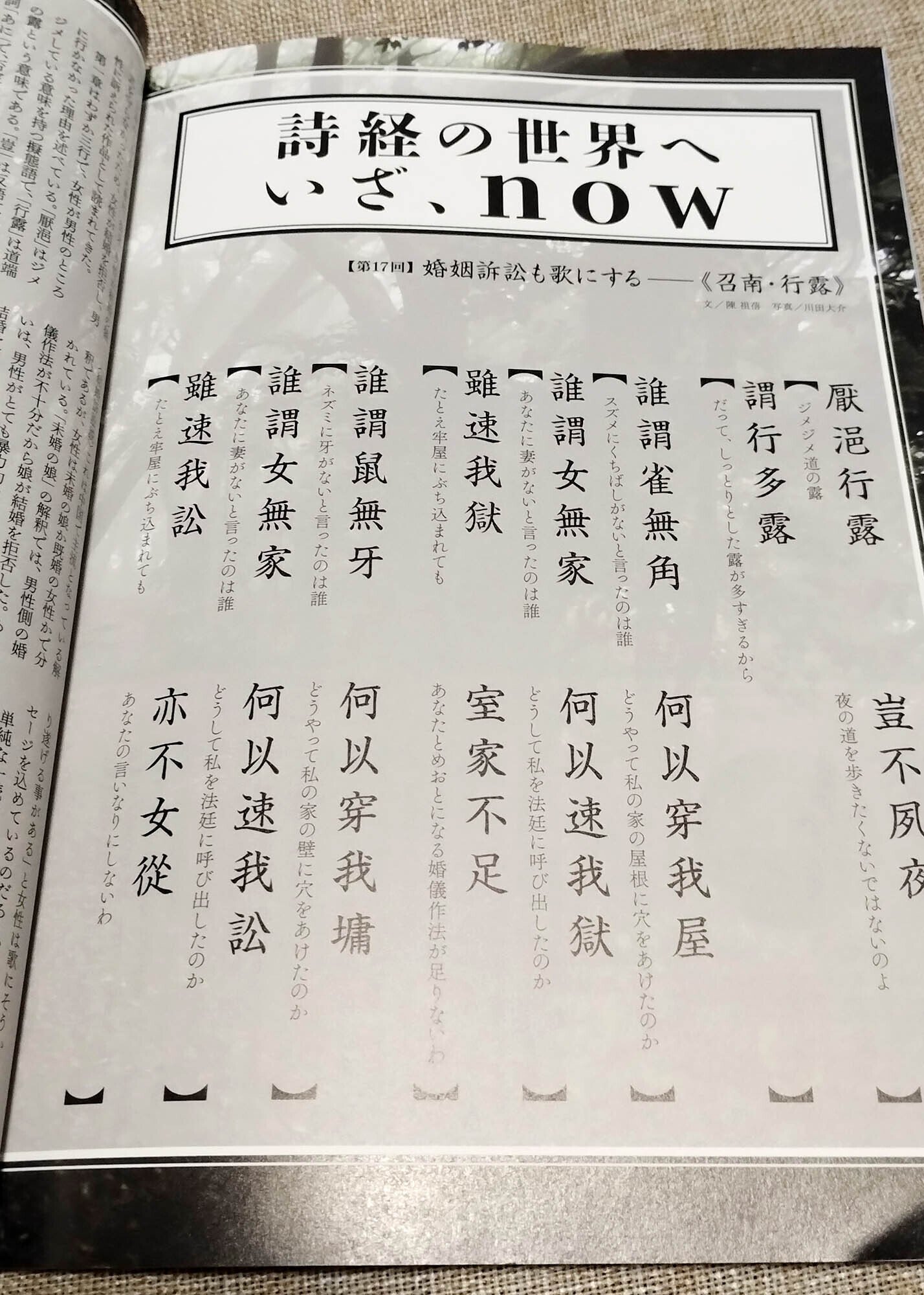 生ける雑誌界の秘境-読感:中国紀行 Vol.36 古蜀國&高天原 生ける雑誌界の秘境-読感:中国紀行 Vol.36 古蜀國&高天原