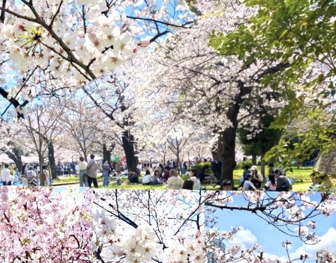 GREENBOXIN】ゆらぎの炎症に韓国鎮静スキンケア🔥大人気グリーン